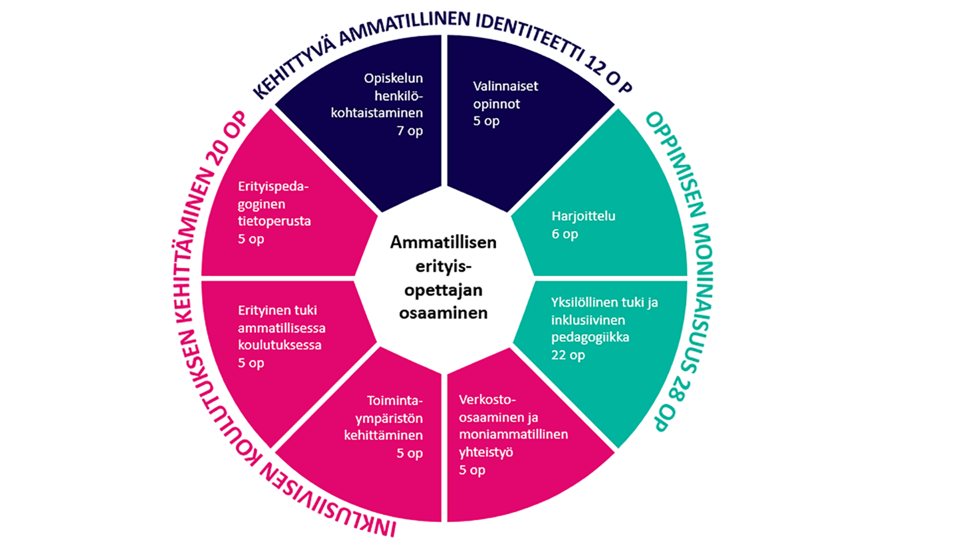 Ammatillisen erityisopettjan osaaminen