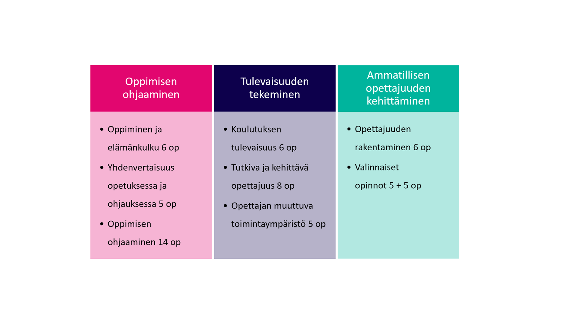 Ammatillisen opettajakorkeakoulun opettajaopintojen rakenne OPS 21-22