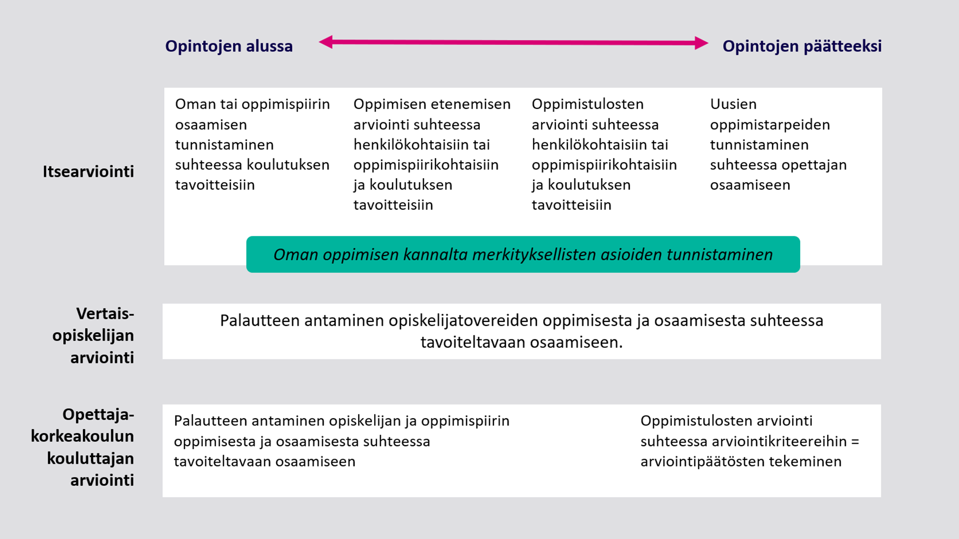 Arviointiprosessi opettajakorkeakoulussa