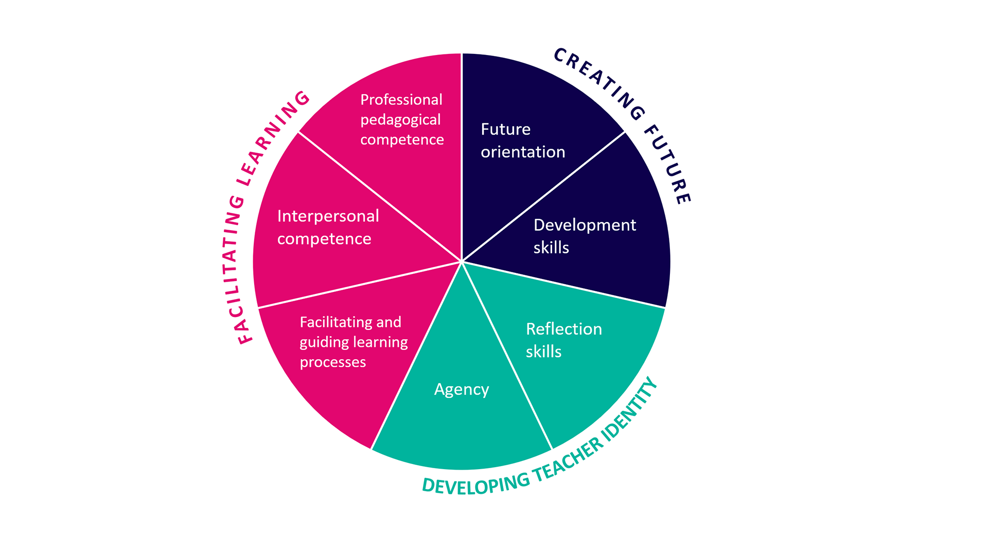 Three key competence areas: facilitating learning, creating the future and developing teacher identity