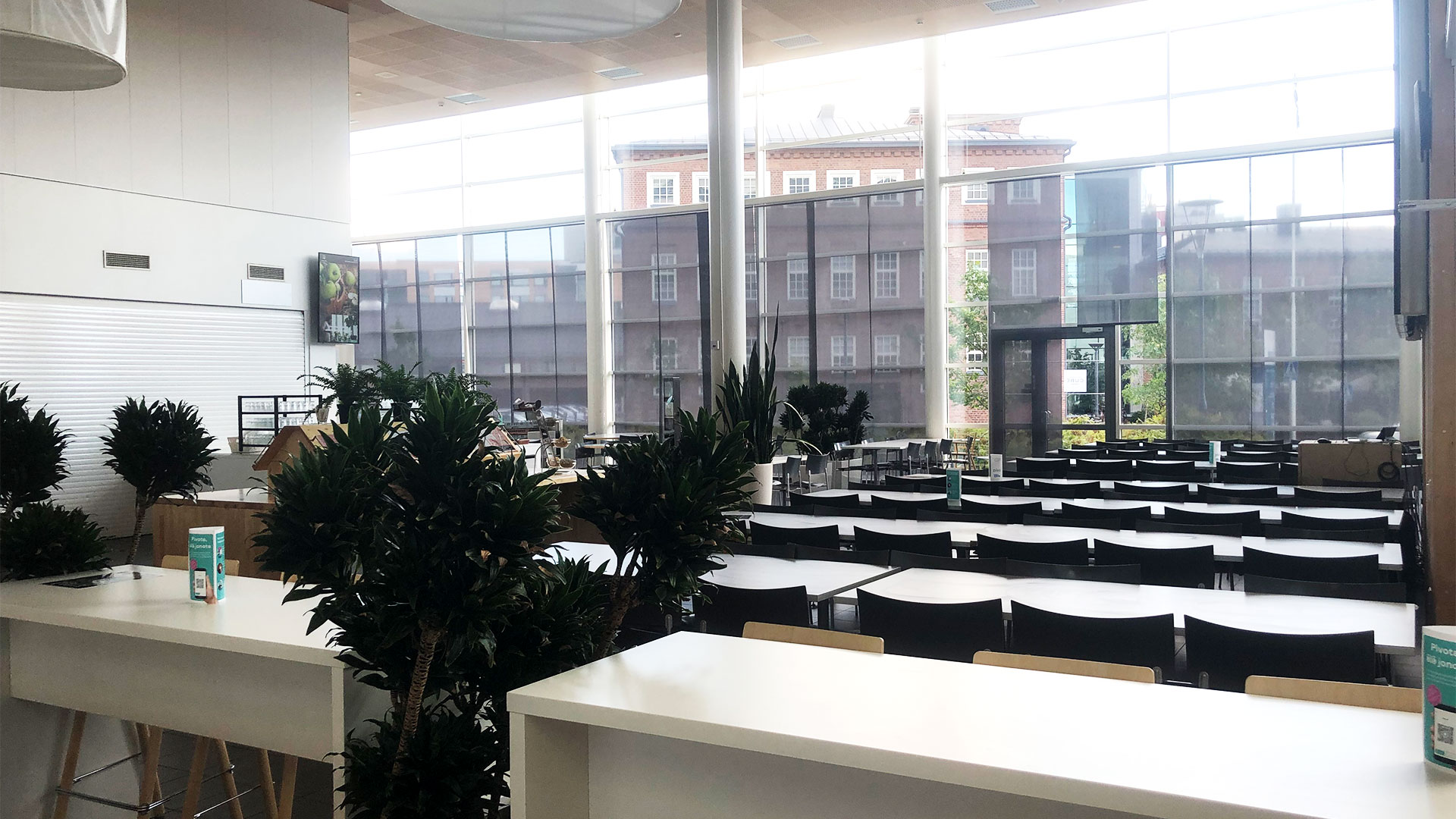Vaalea ja avara ravintolasali, jossa isot lasiseinät. Pöytien vieressä viherkasveja