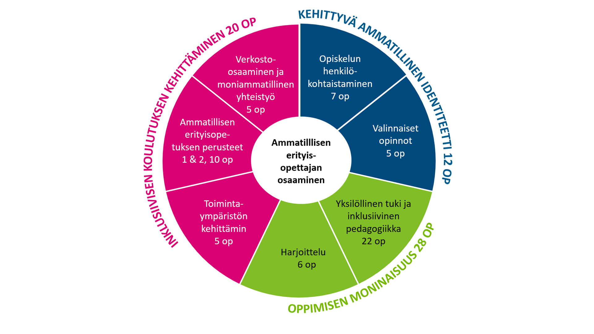 Erityisopettajan osaaminen OPS 20-21