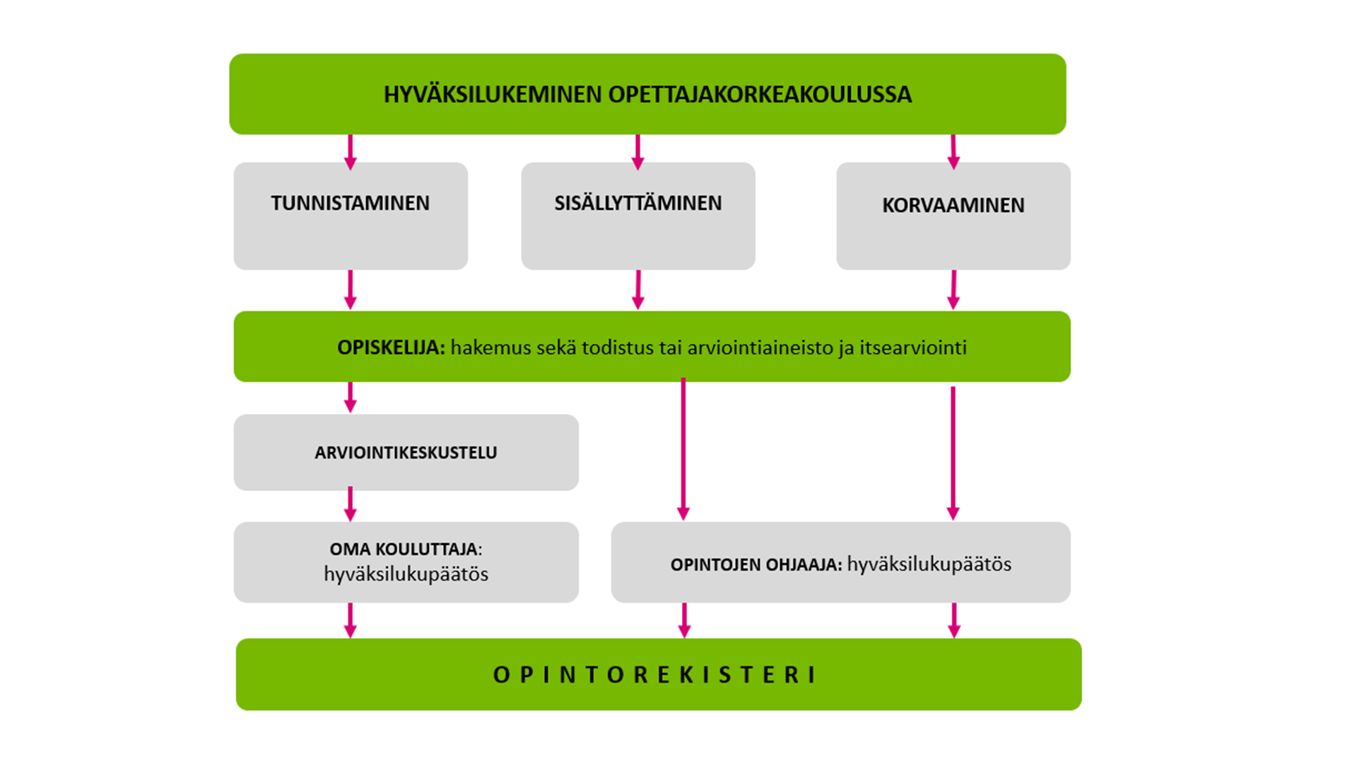 Hyväksilukeminen opettajakorkeakoulussa OPS 20-21