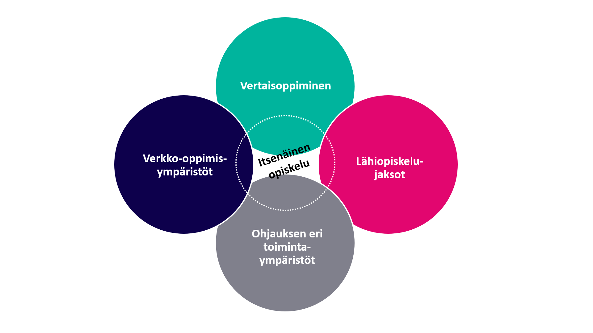Opinto-ohjaajakoulutuksen opiskelumuodot