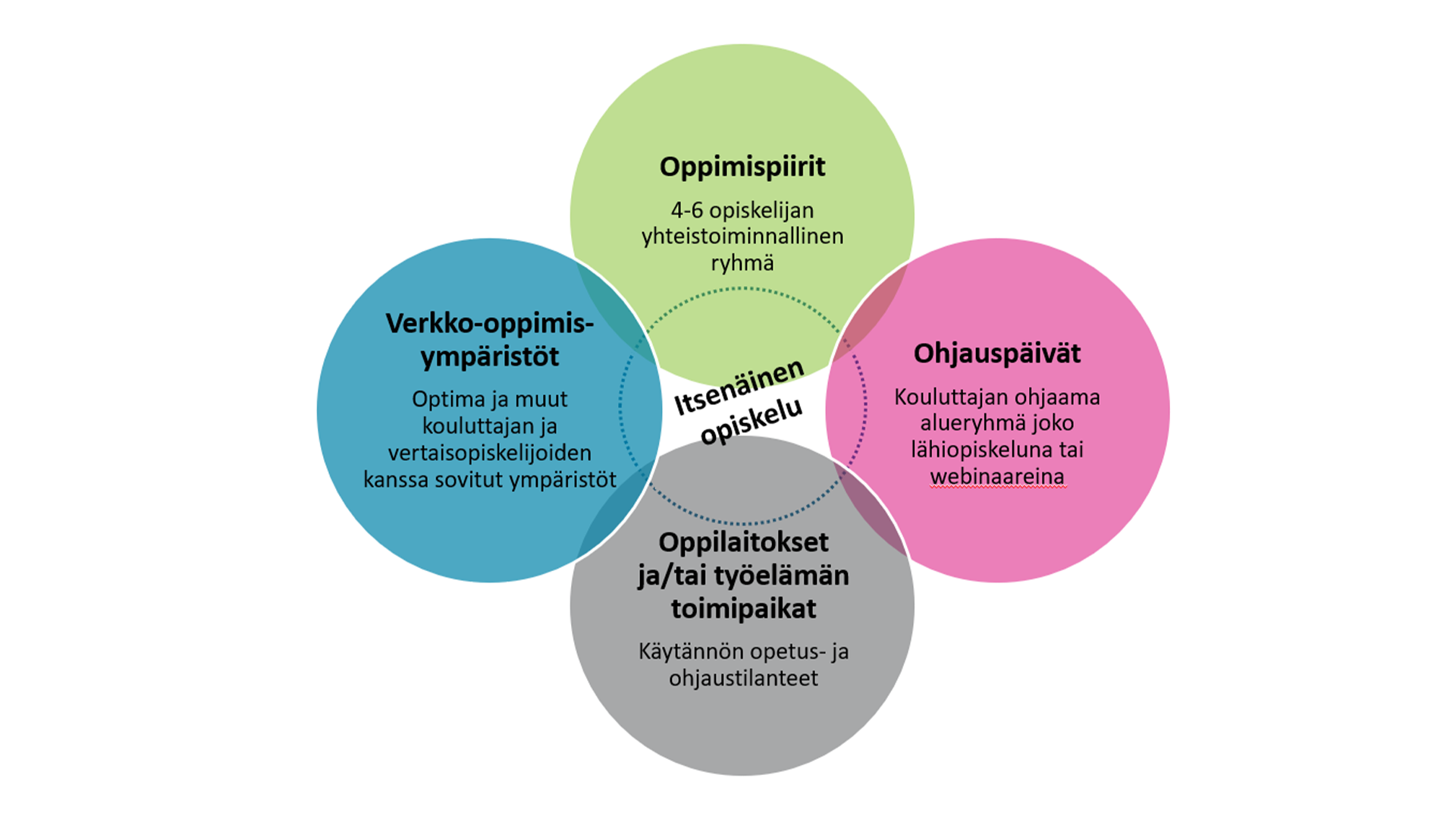 Monimuotoinen opiskelu ammatillisessa opettajakorkeakoulussa