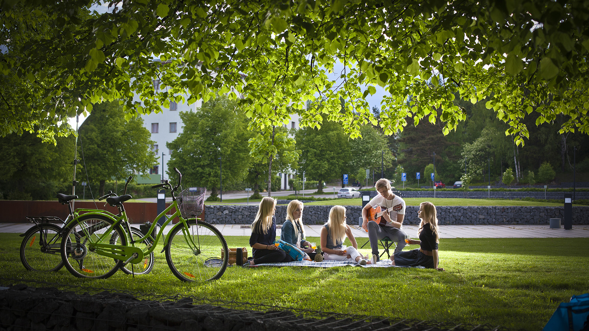 Students having a picnic