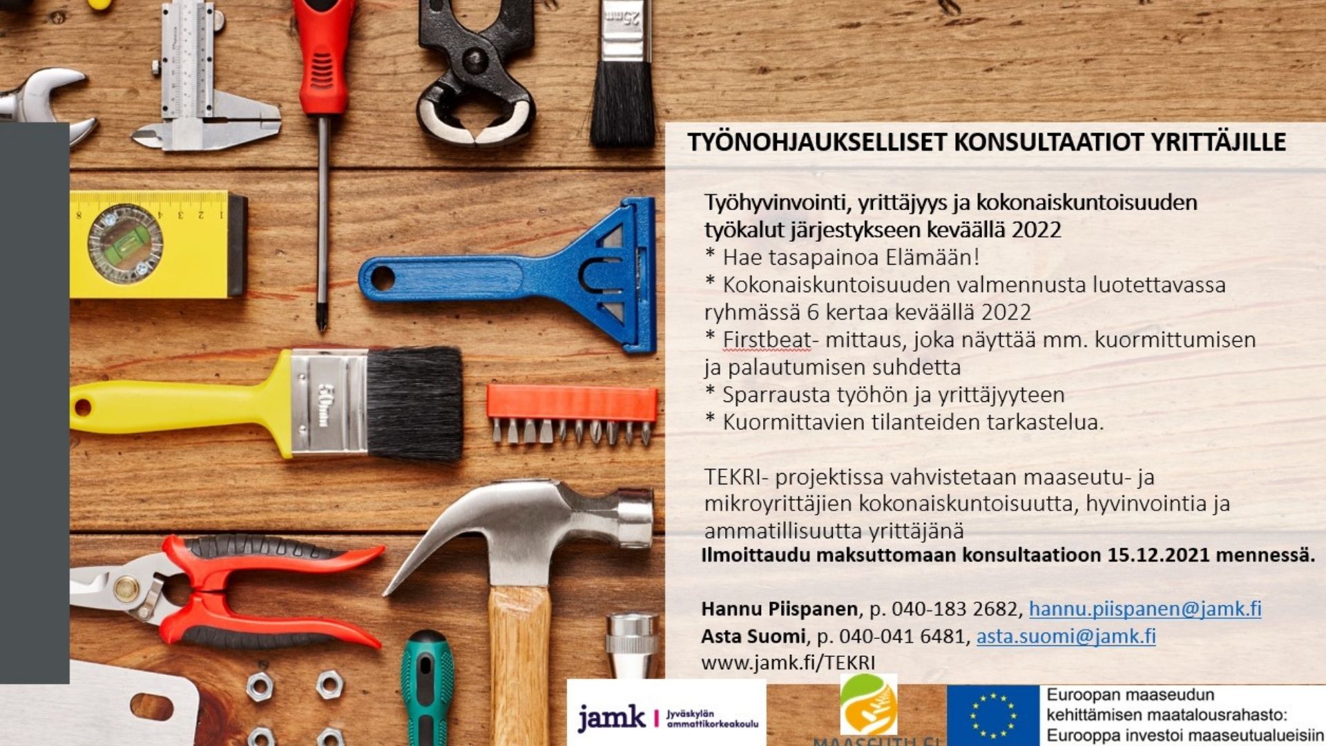 TEKRI Työnohjaukselliset konsultaatiot yrittäjille esite