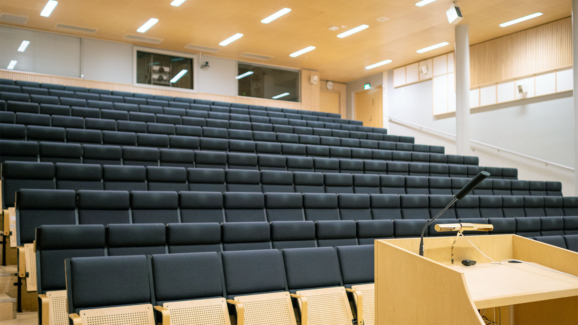 Ascending rows of seats