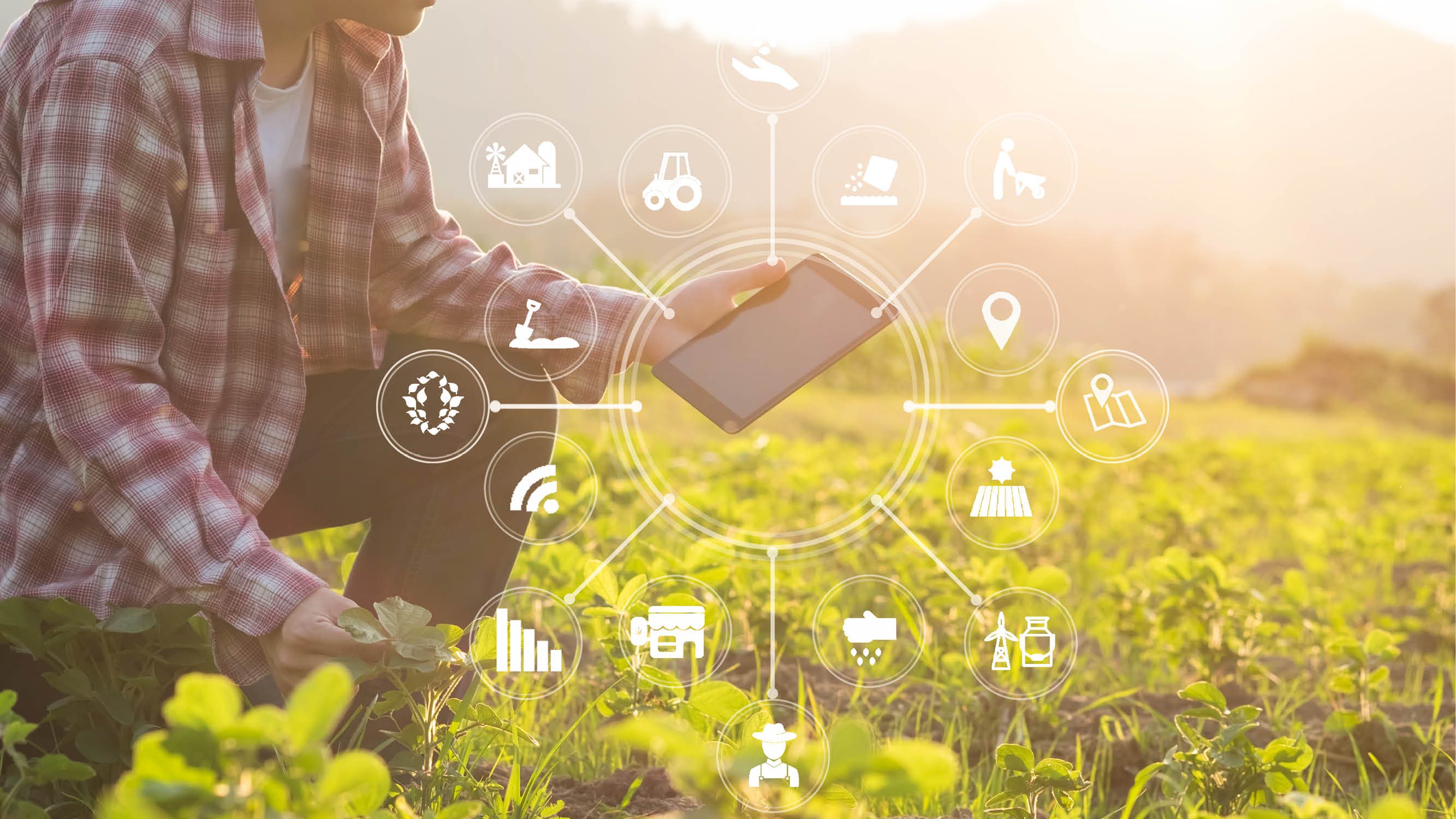 BioTalks agroecology webinar
