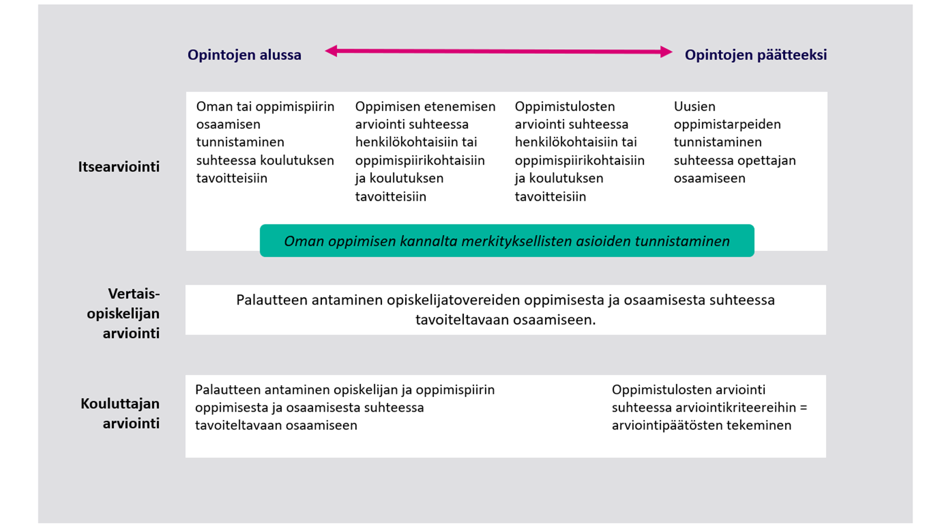 Arviointi opinto-ohjaajankoulutuksessa