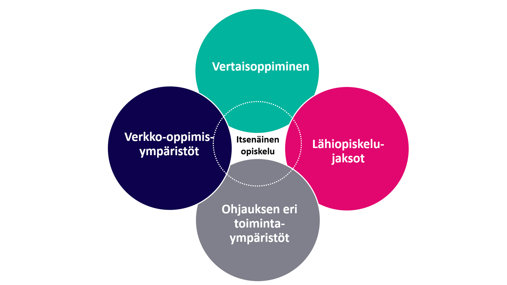 Opiskelumuodot opinto-ohjaajankoulutuksessa
