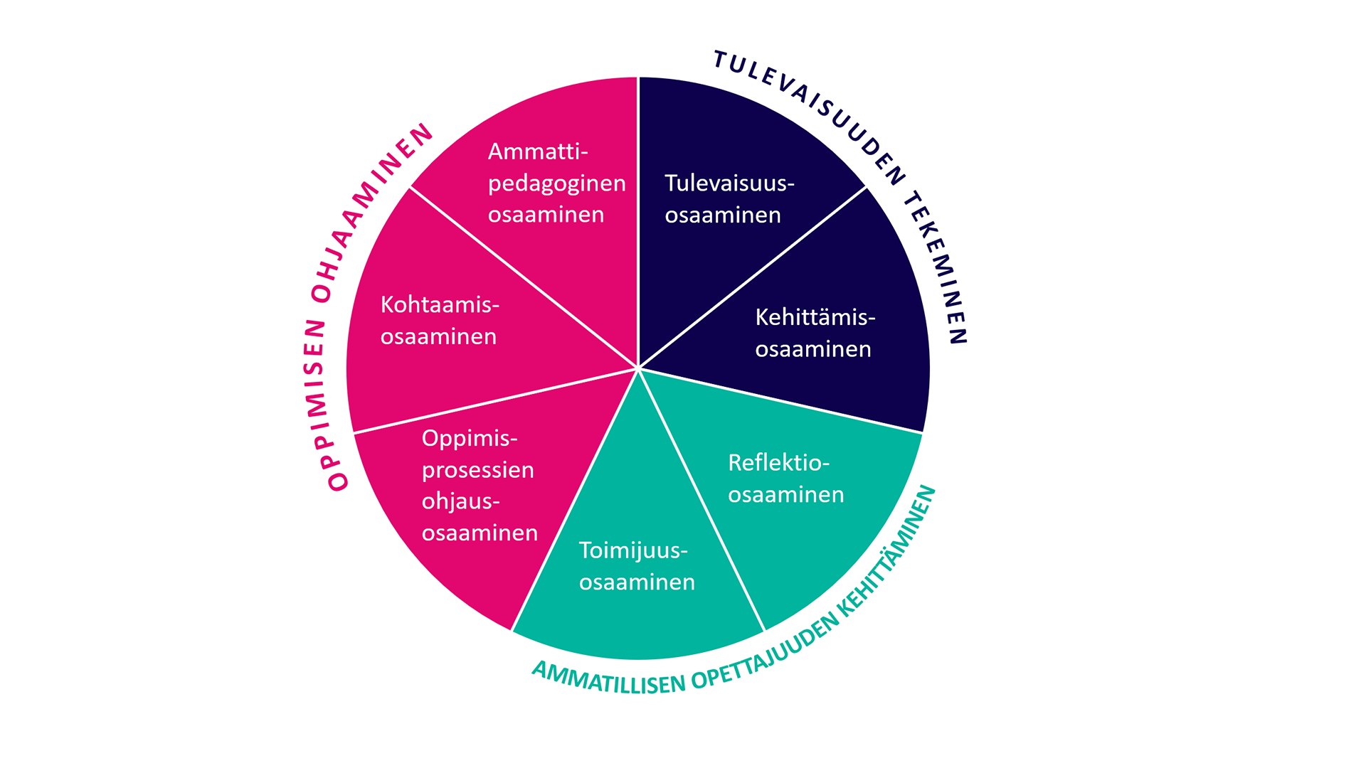 Ammatillisen opettajankoulutuksen osaamisalueet