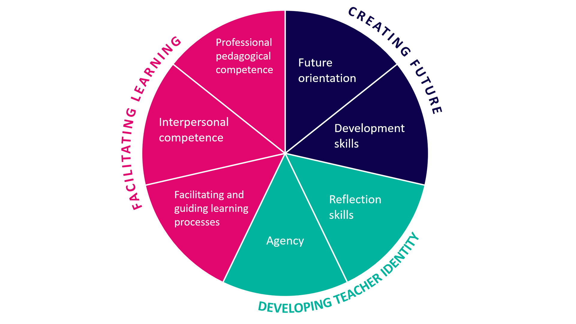 Competence areas at teacher education