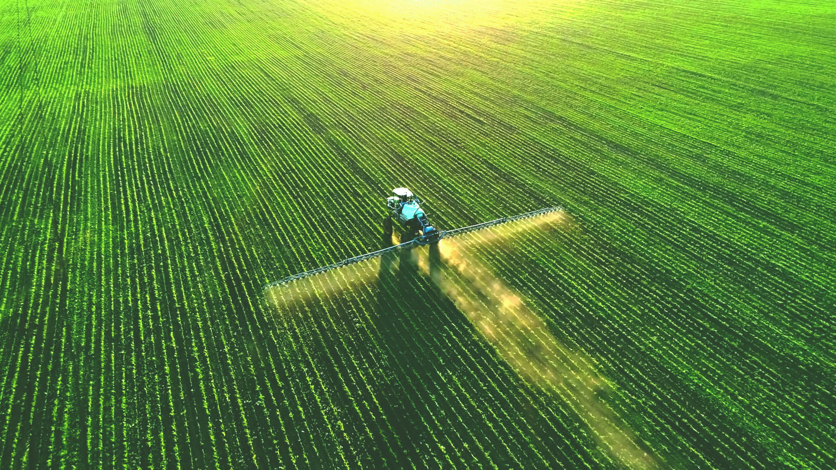 maaseutuverkosto webinaari kuvituskuva