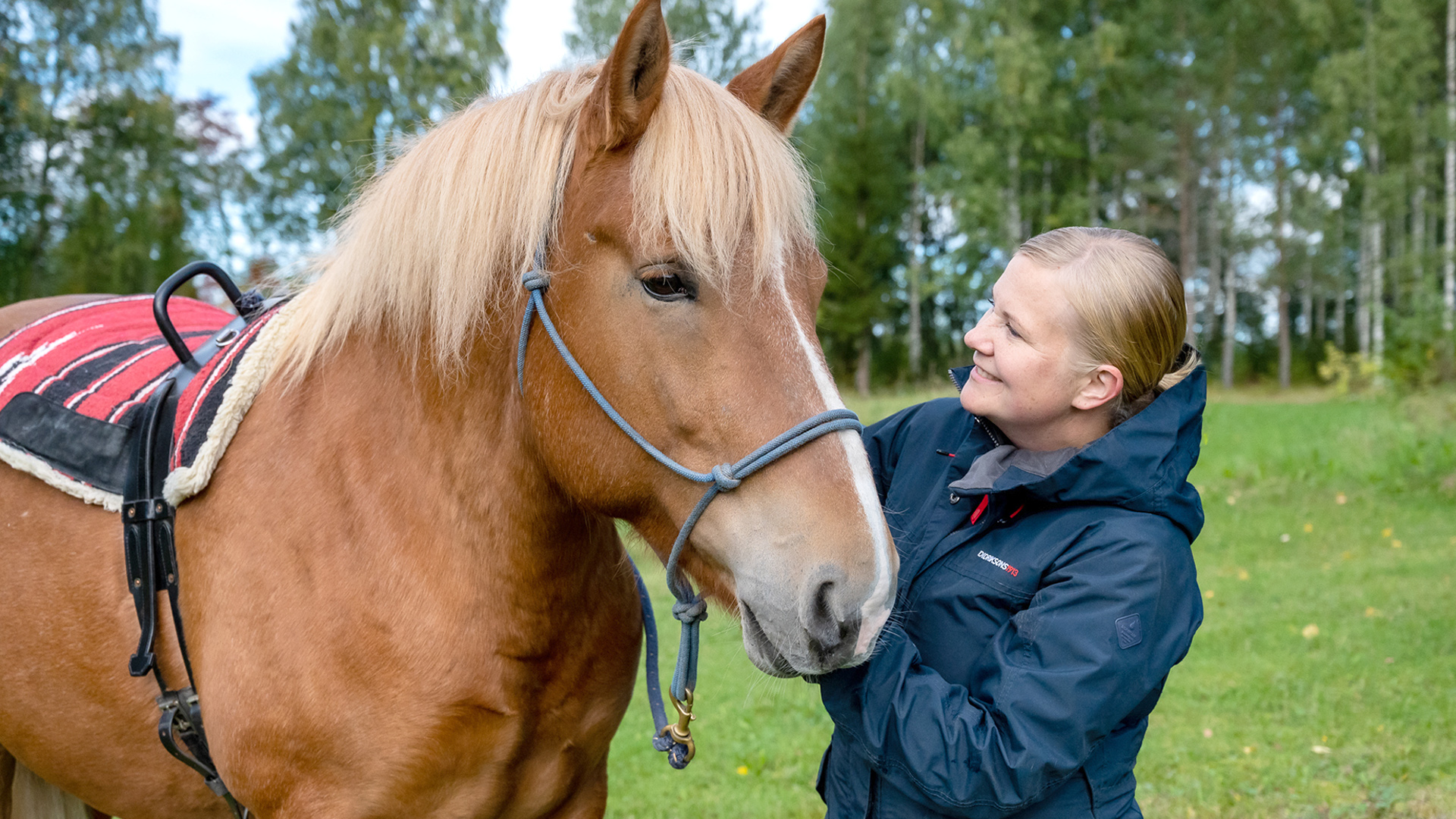 Sari Jaatinen ja suomenhevonen Lupsukka