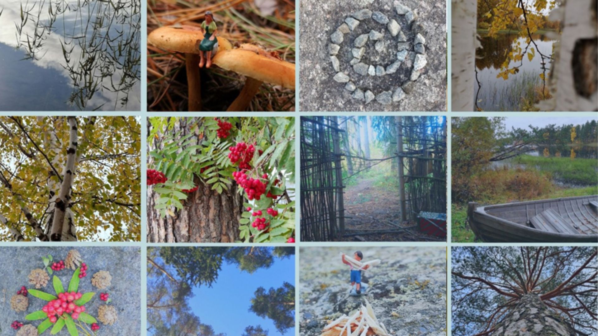 Luontokuvakimara Kohtaamisia luonnossa -koulutuksen osallistujilta.