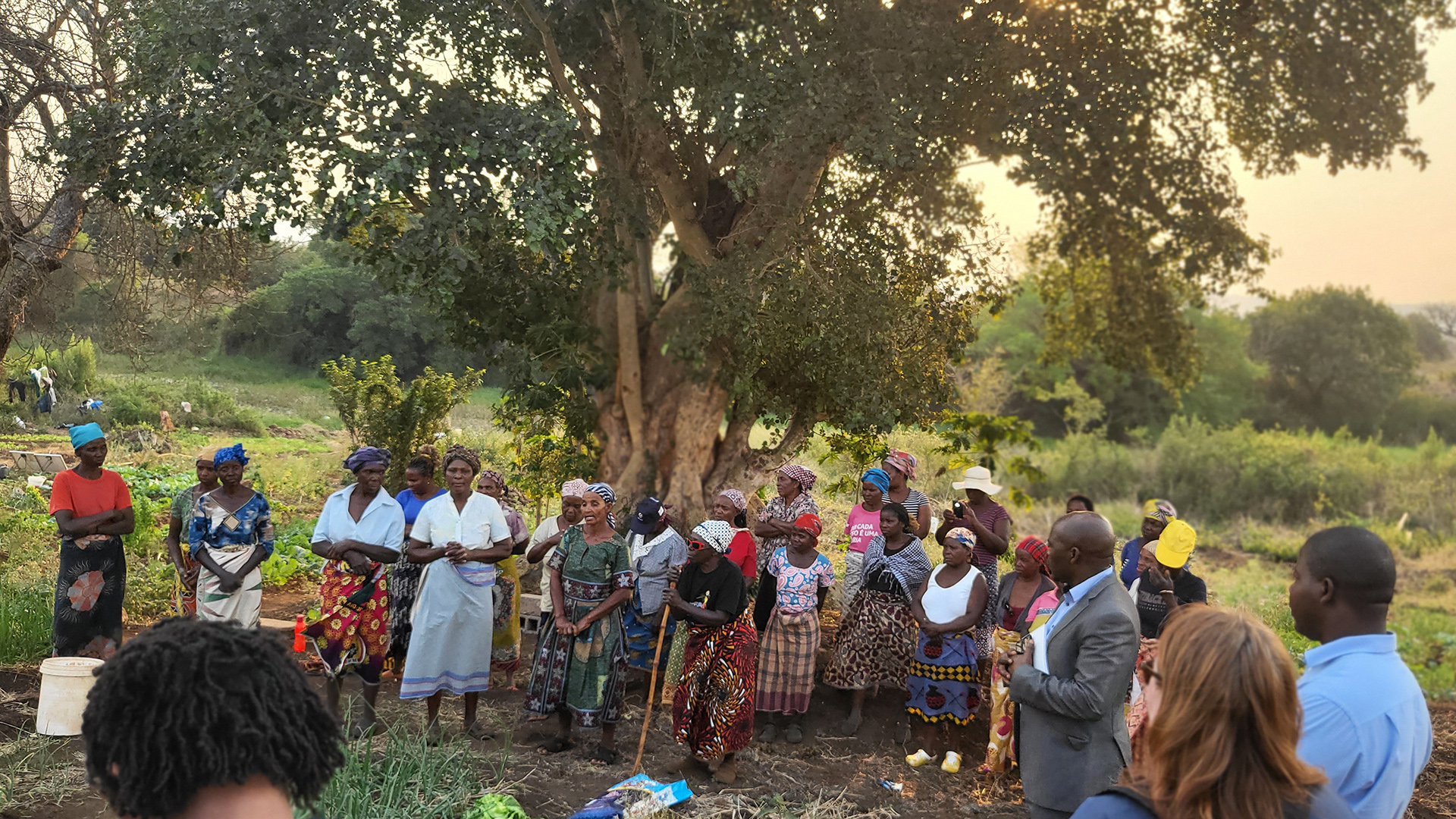 A group of people under a tree