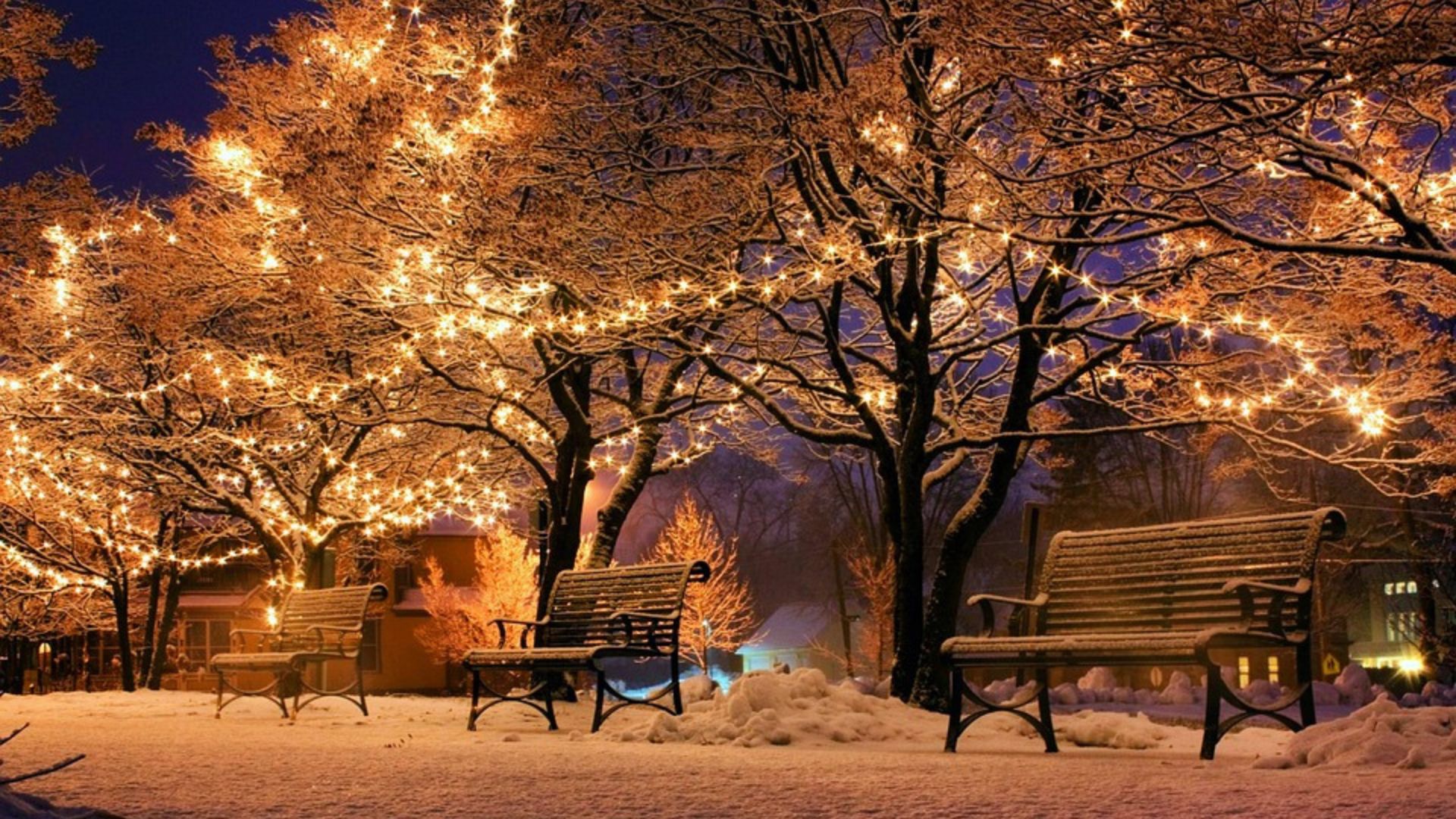 luminen puistomaisema valaistuna