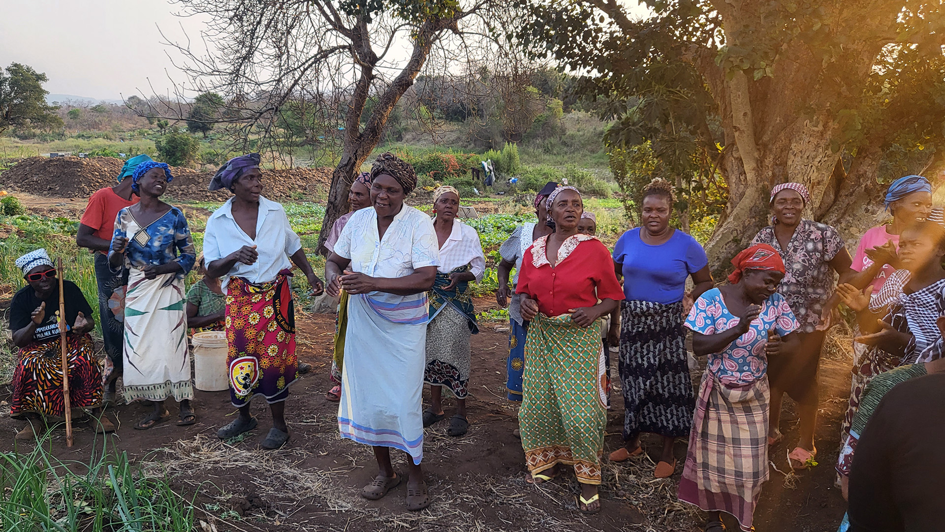 Fourteen Mozambiqan women dancing in front of a big tree.