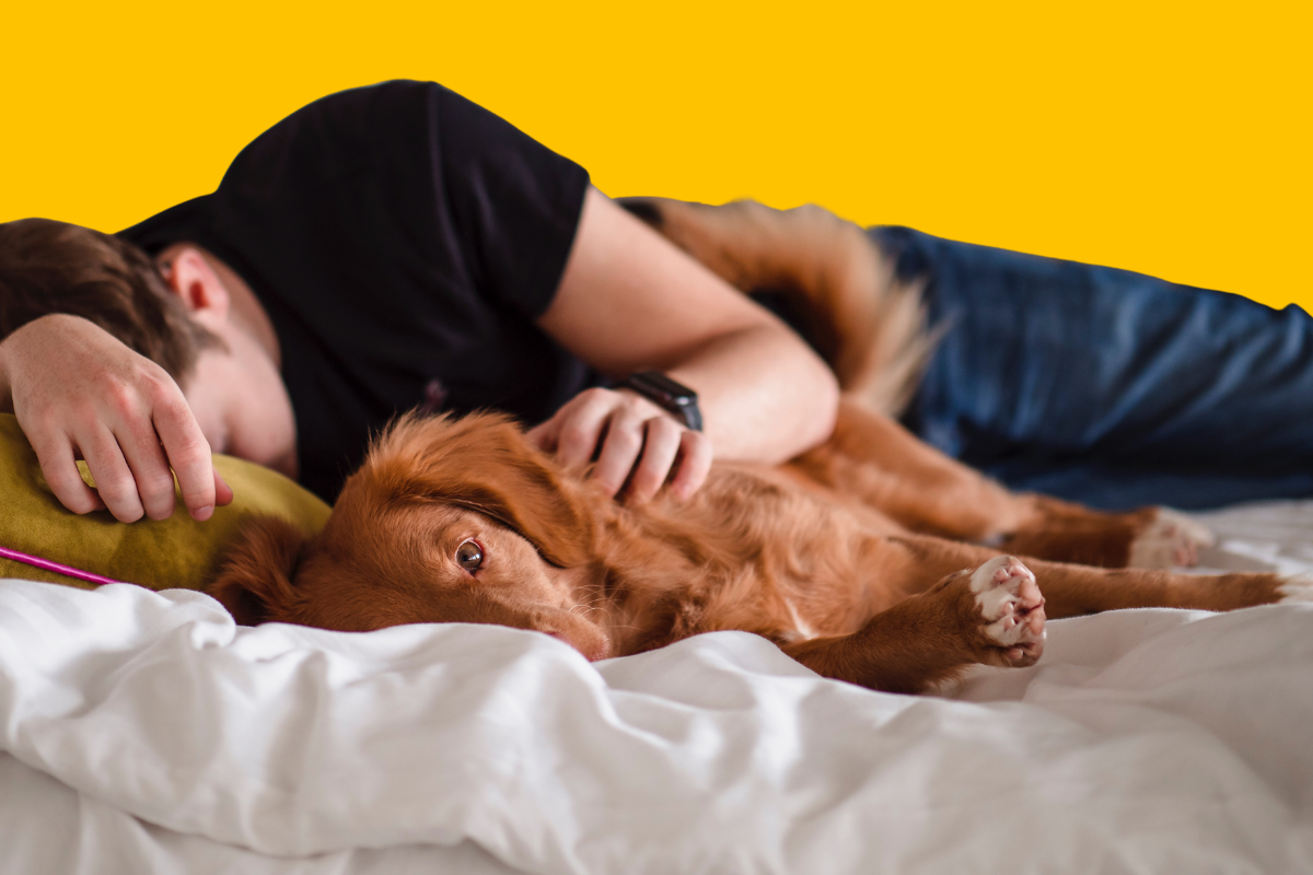Nuori henkilö makaa sängyllä koiran kanssa.