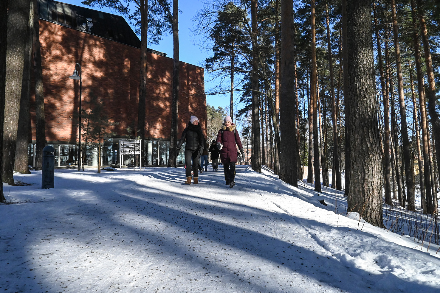 Kävelypalaveri, Aktiivinen ja hyvinvoiva korkeakooulu
