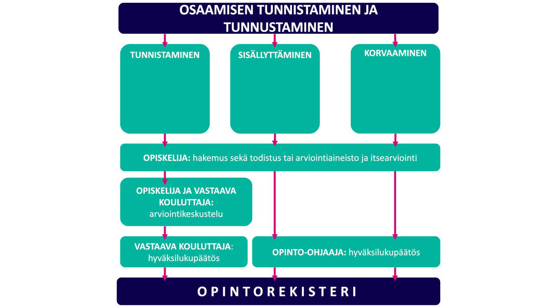 Osaamisen tunnistaminen ja tunnustaminen opinto-ohjaus