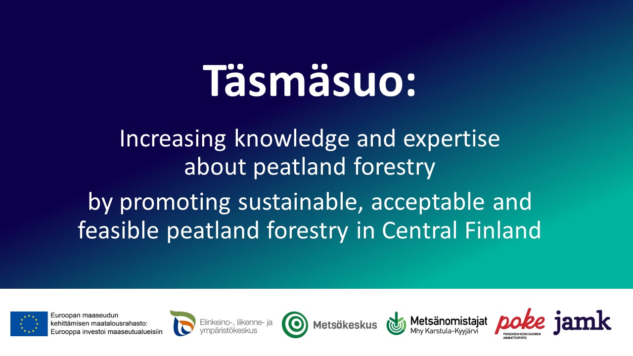Täsmäsuo Project description