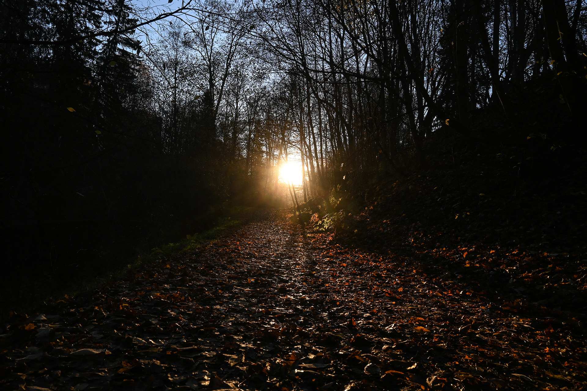 TarMu-podcastin taustakuva