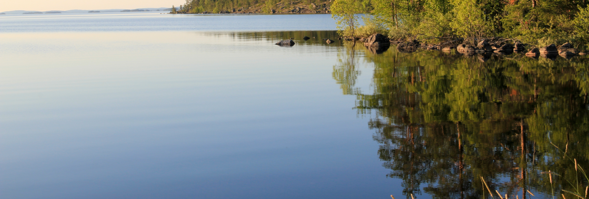 Tyyni järvi, vähän havupuista rantaa näkyvissä