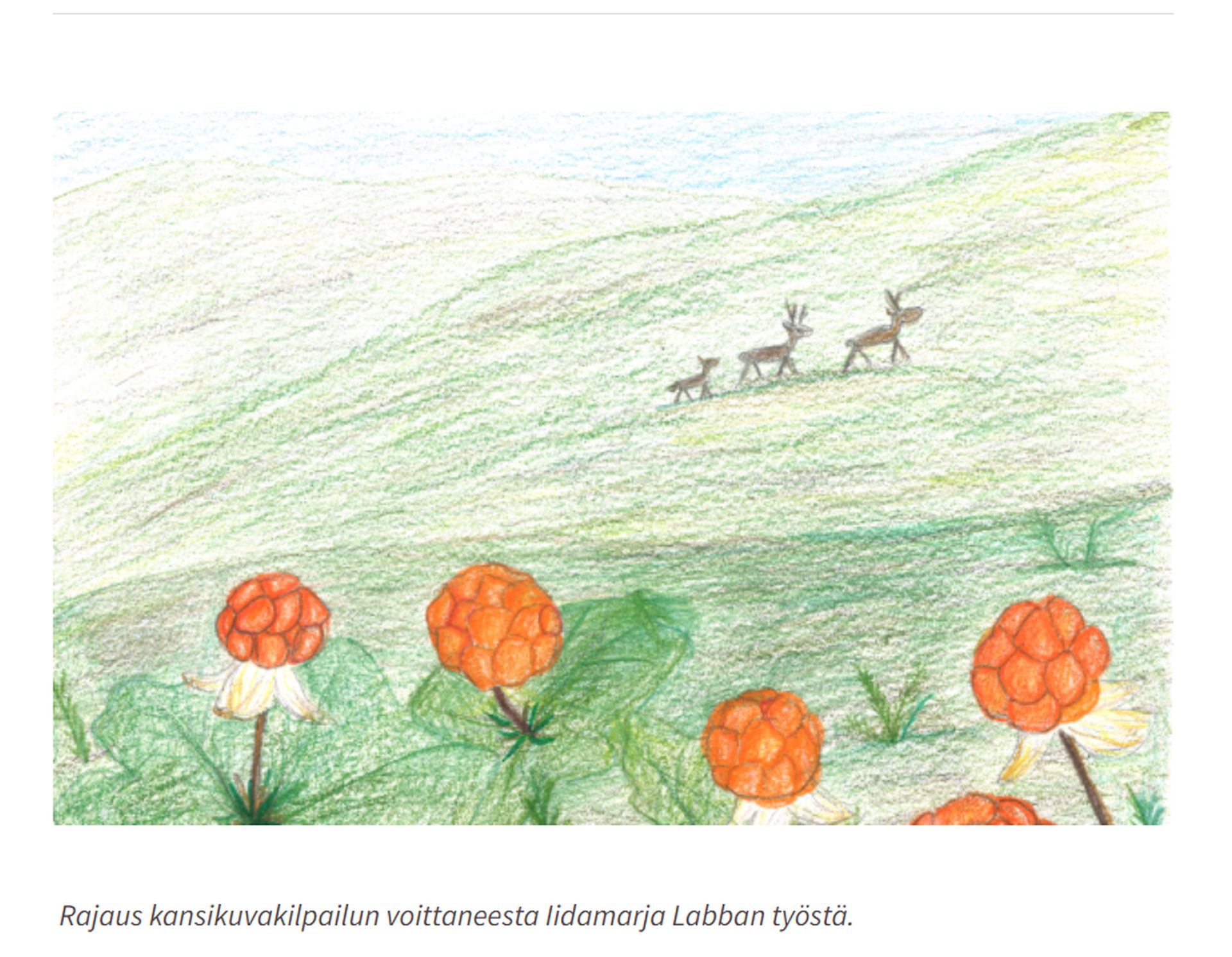 Rajaus kansikuvakilpailun voittaneesta Iidamarja Labban työstä.