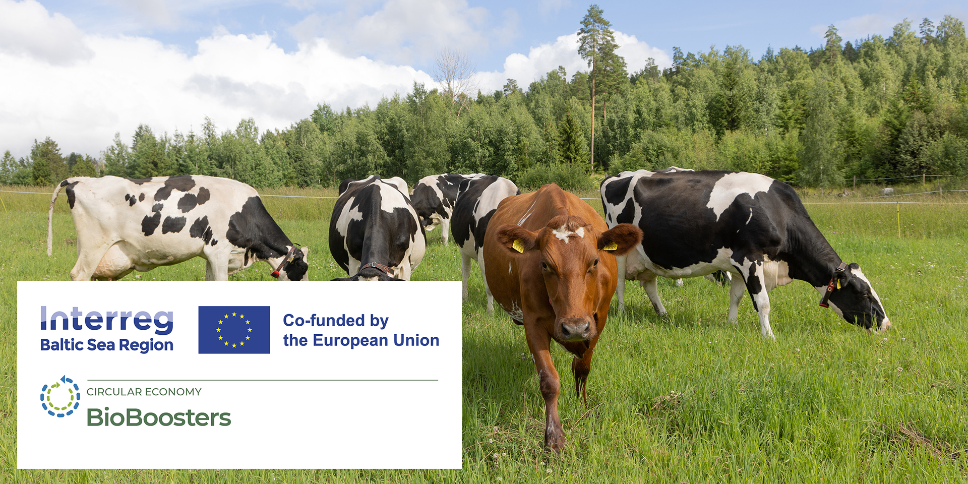 Interreg, EU, BioBoosters logos