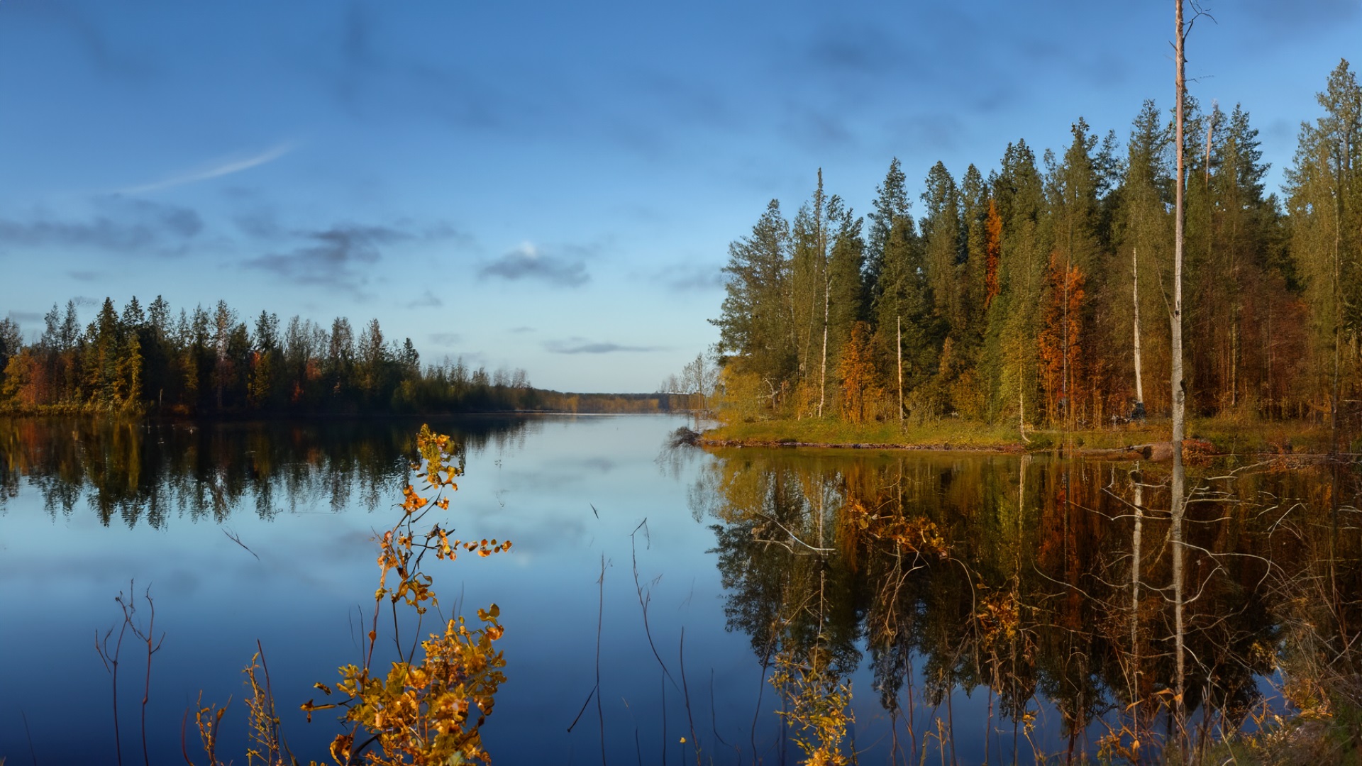 kesäinen järvimaisema