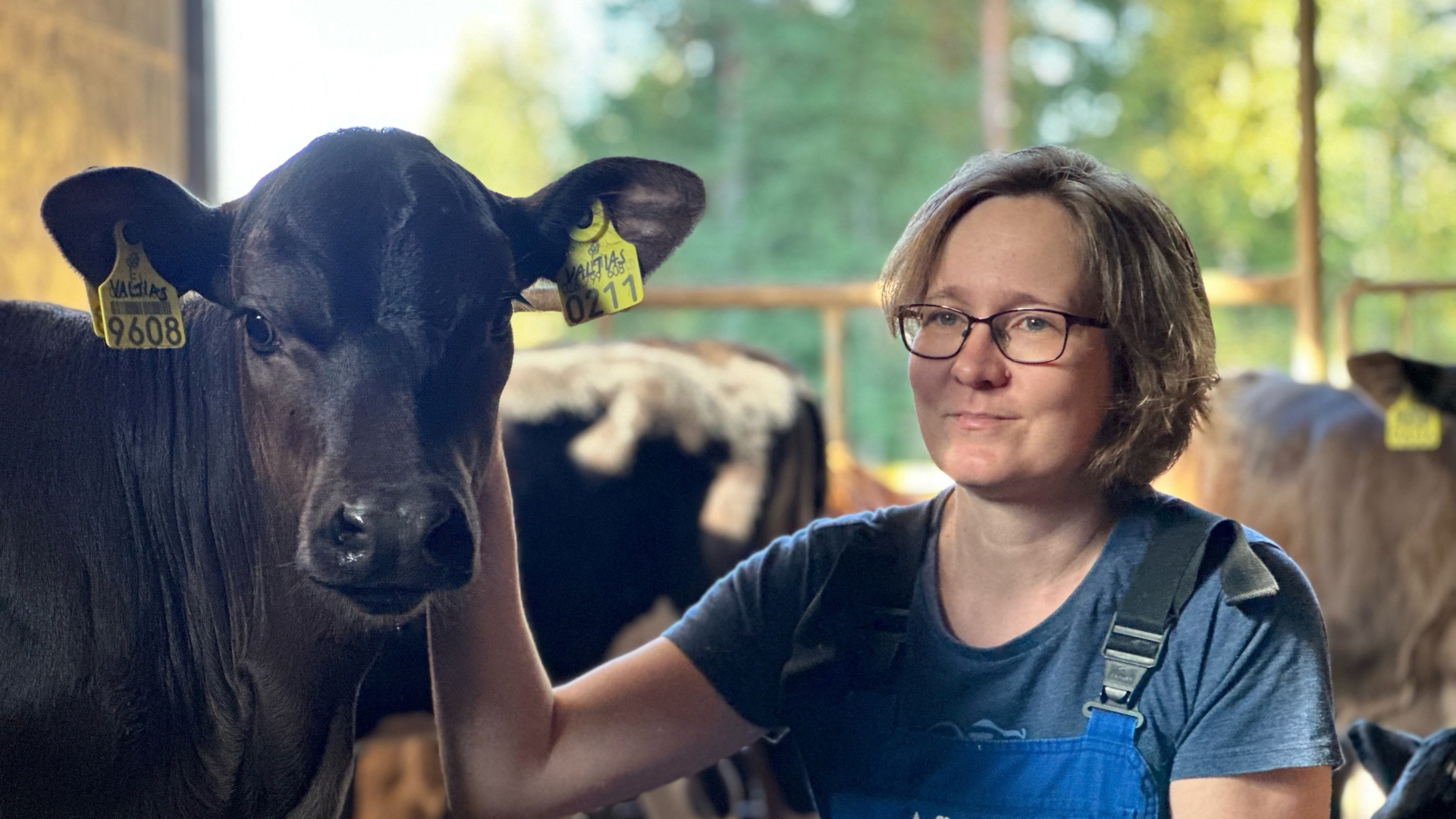Sanna Ahonen ja Valtias-vasikka katsovat kameraan
