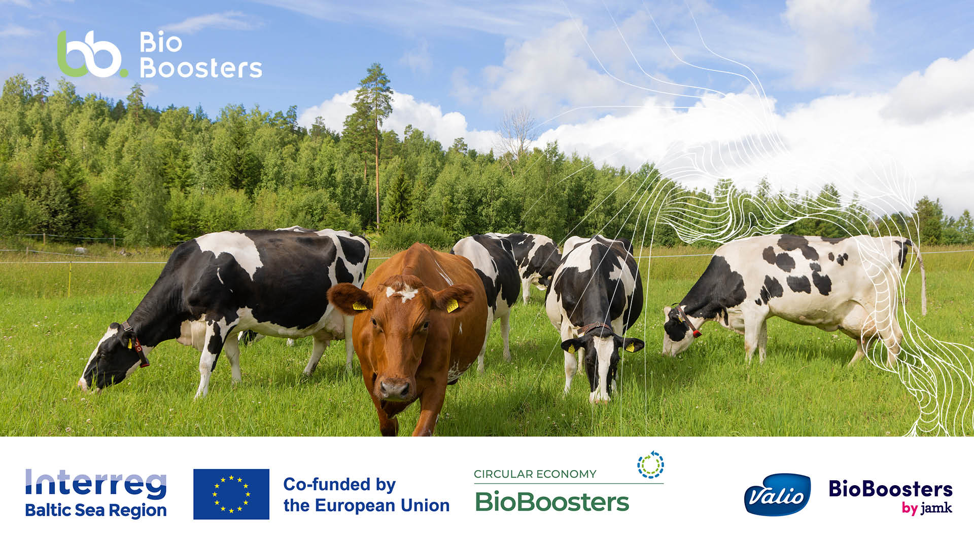 ValioHackathon kuvituskuva