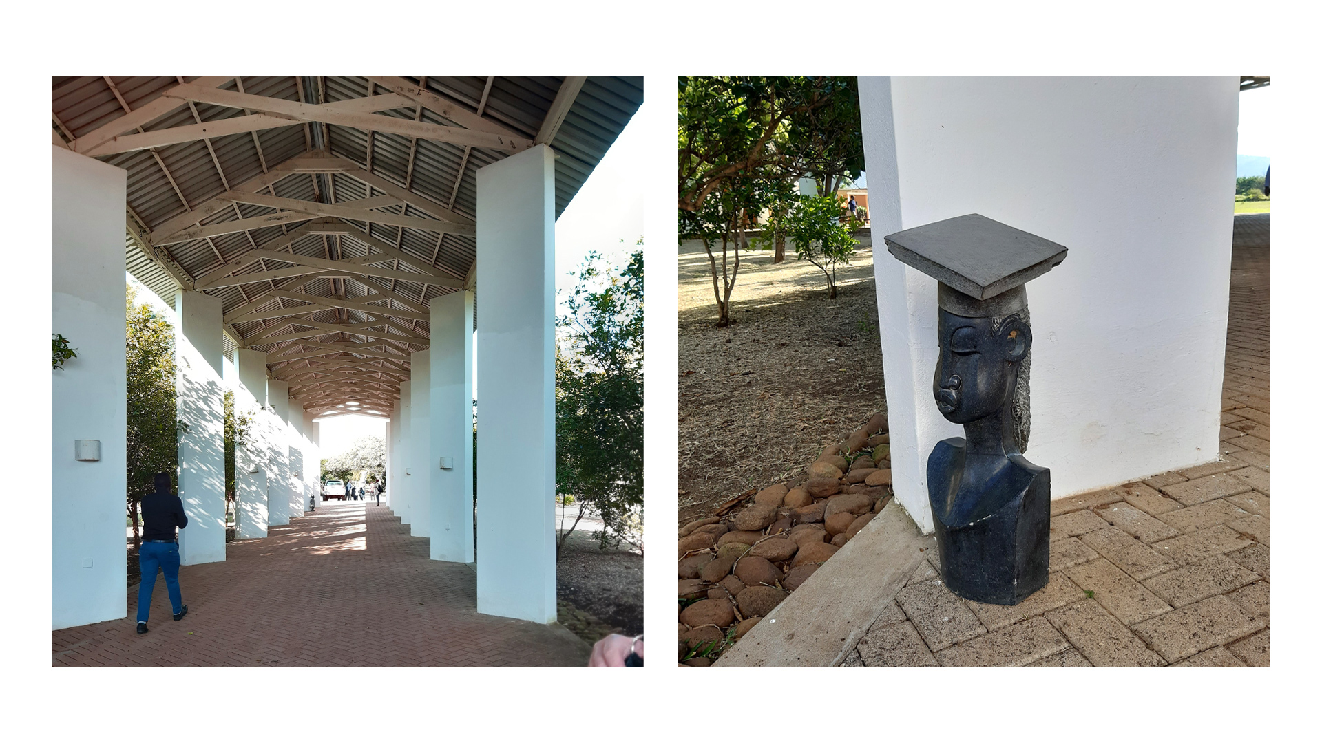 Canopy and decorative statue in the outdoor area of an educational institution.