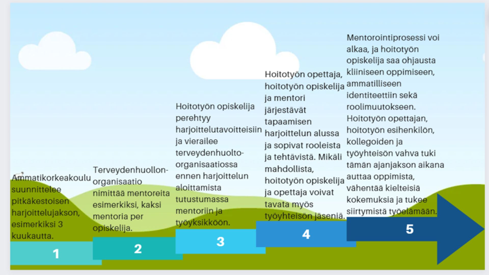 SaSu-mentoroinnin tiekartta