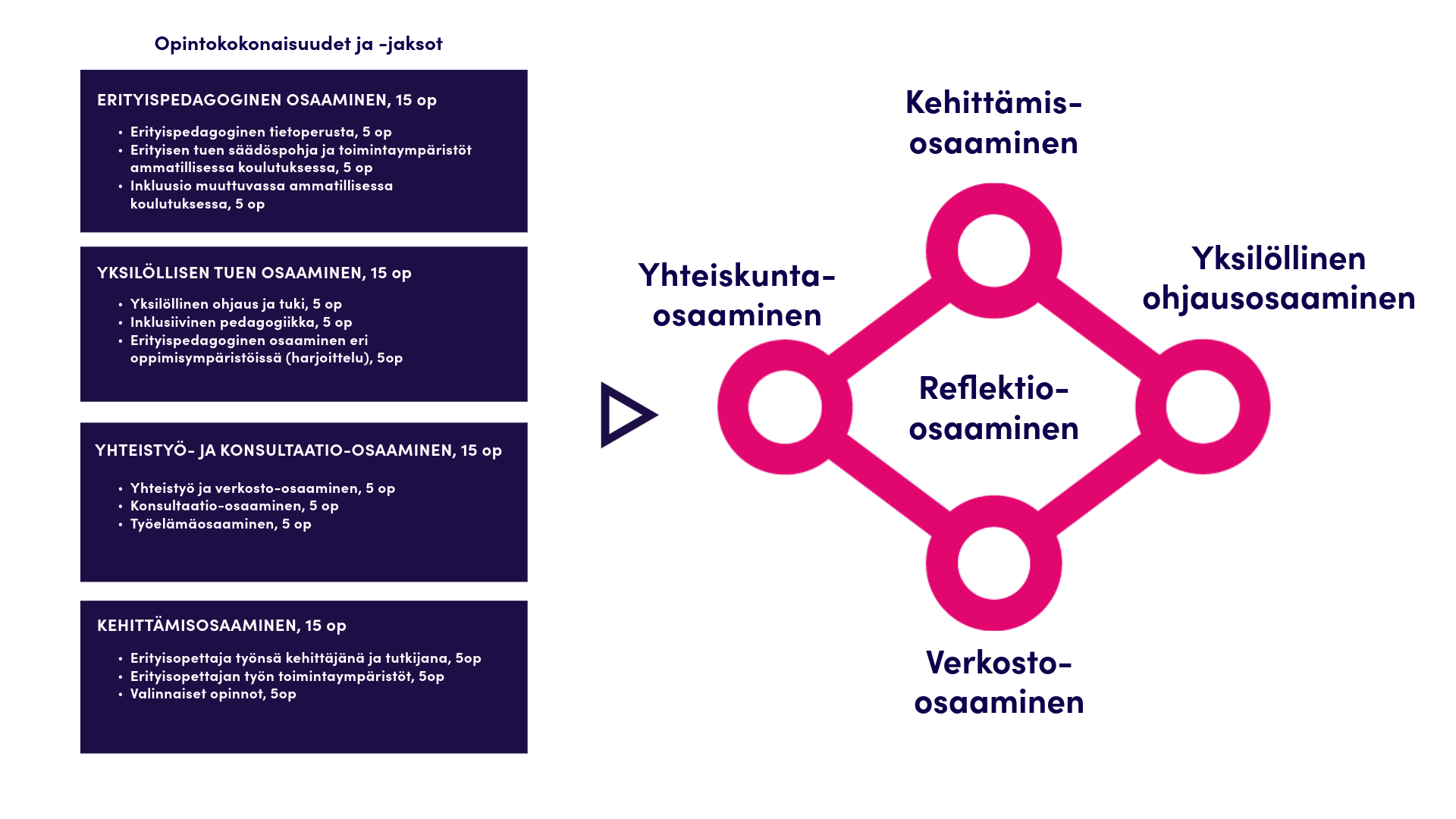 Ammatillisen erityisopettajan opinnot ja keskeiset osaamiset