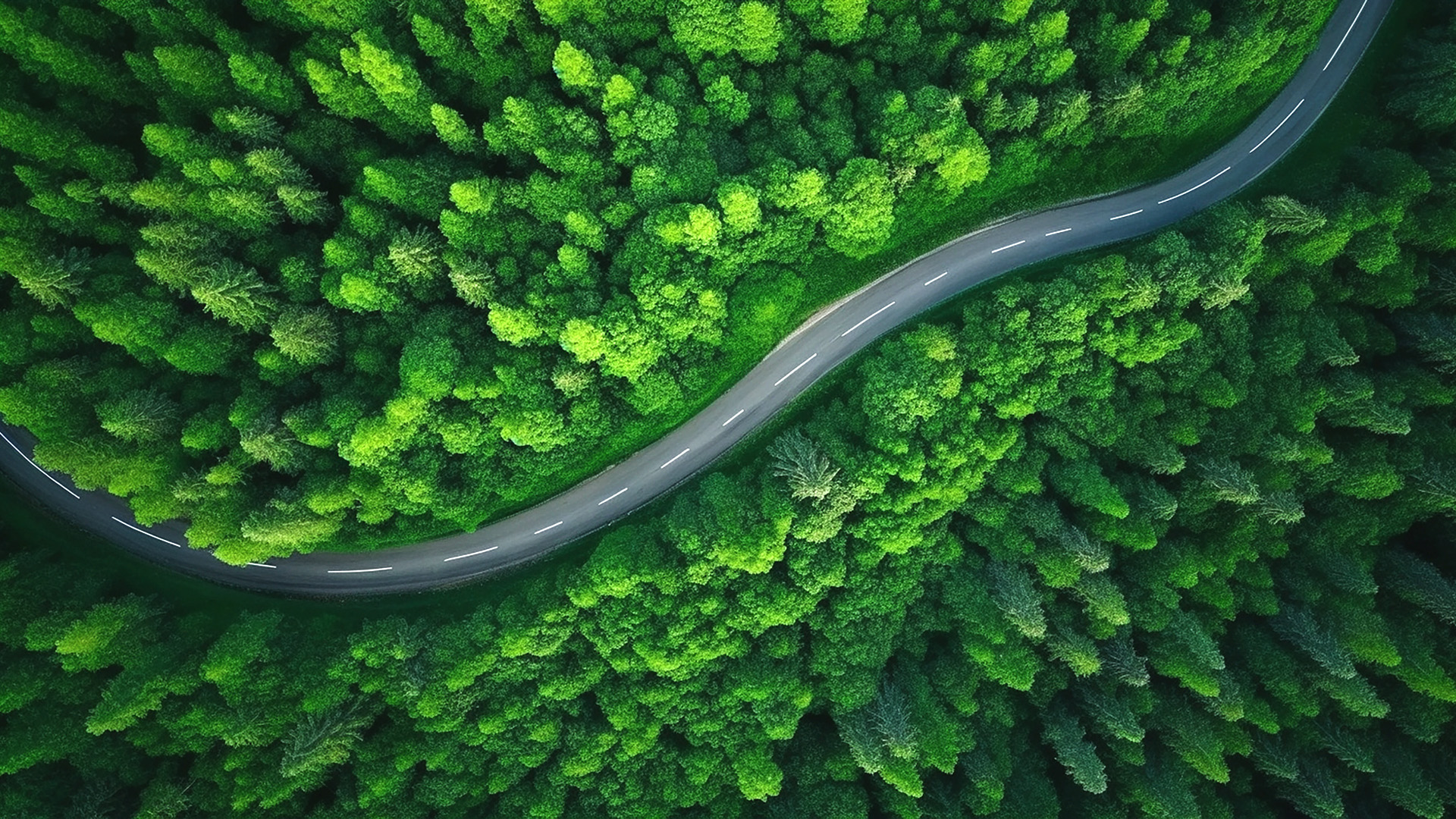 Metsä kuvattuna korkealta ylhäältä päin, metsäautotie kulkee metsän keskellä