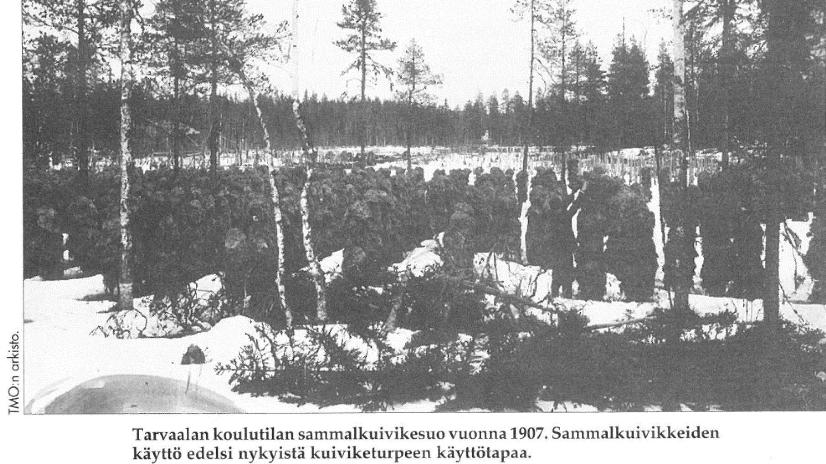 Täsmäsuo havaintokohde aktiivinen ennallistaminen sammalkuivikesuo