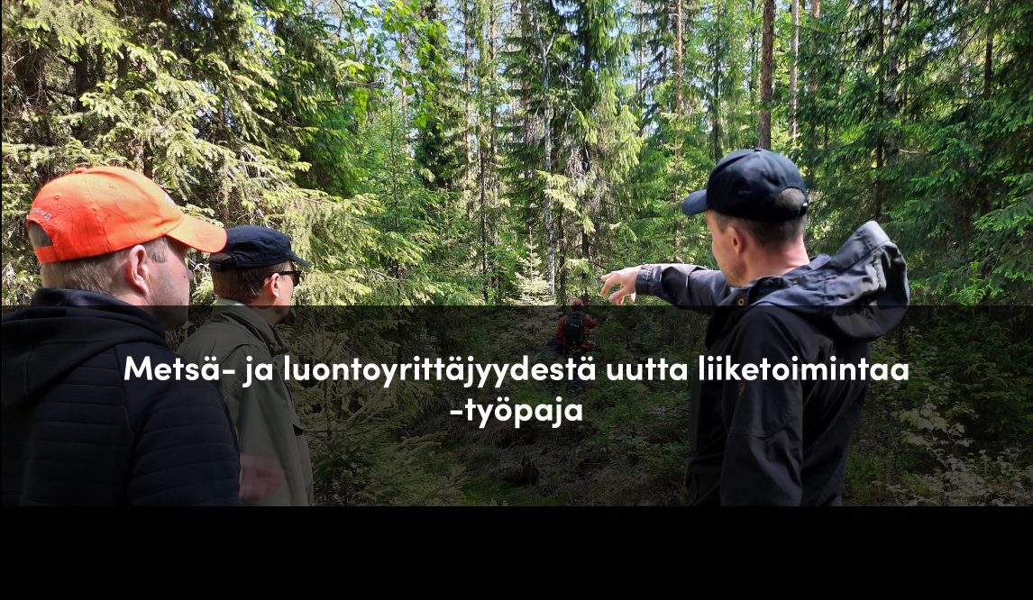 Henkilöitä metsässä. Yksi osoittaa kiinnostavaa kohdetta, jota muut katsovat