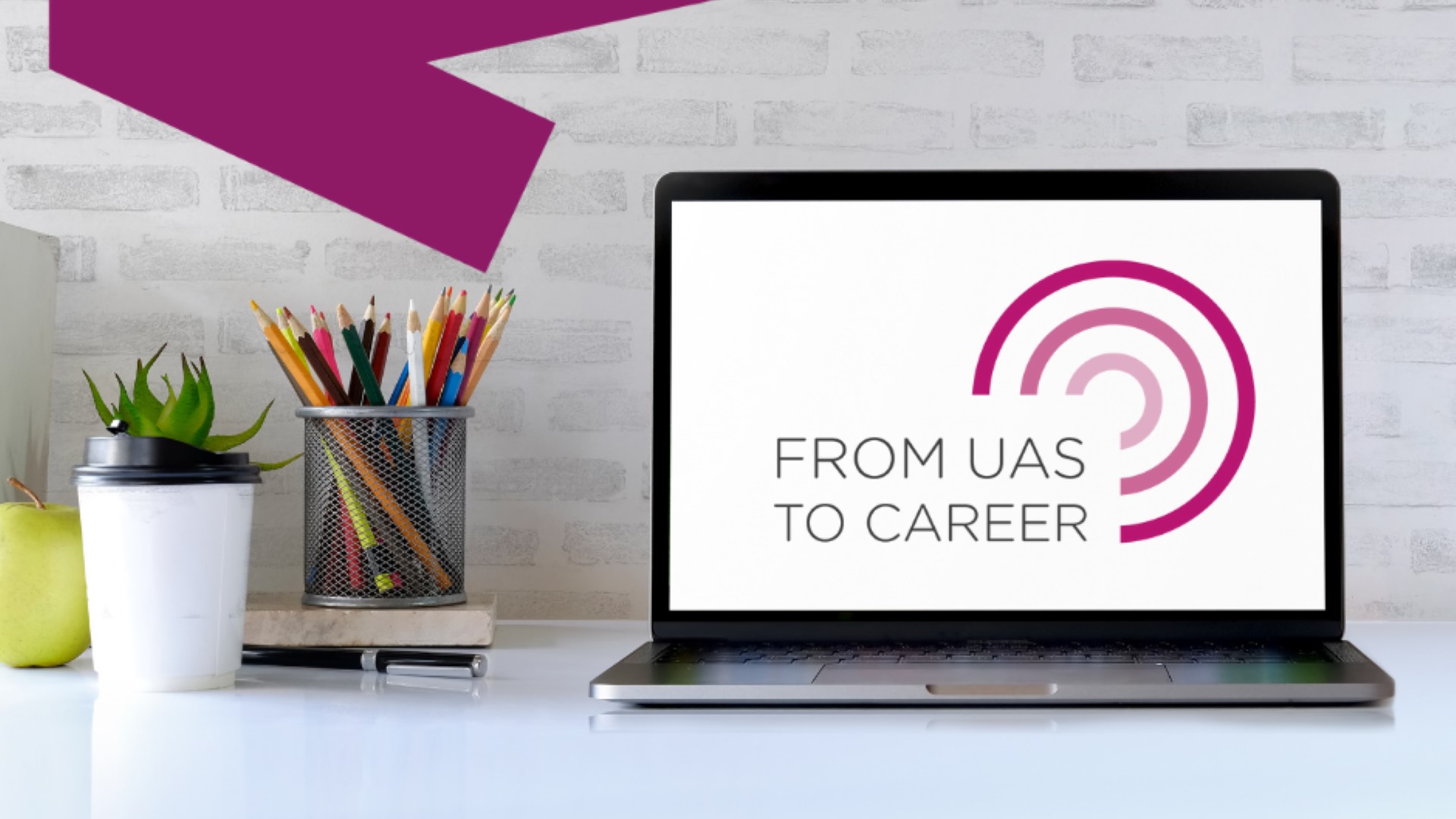 Career Monitoring Survey Uraseuranta