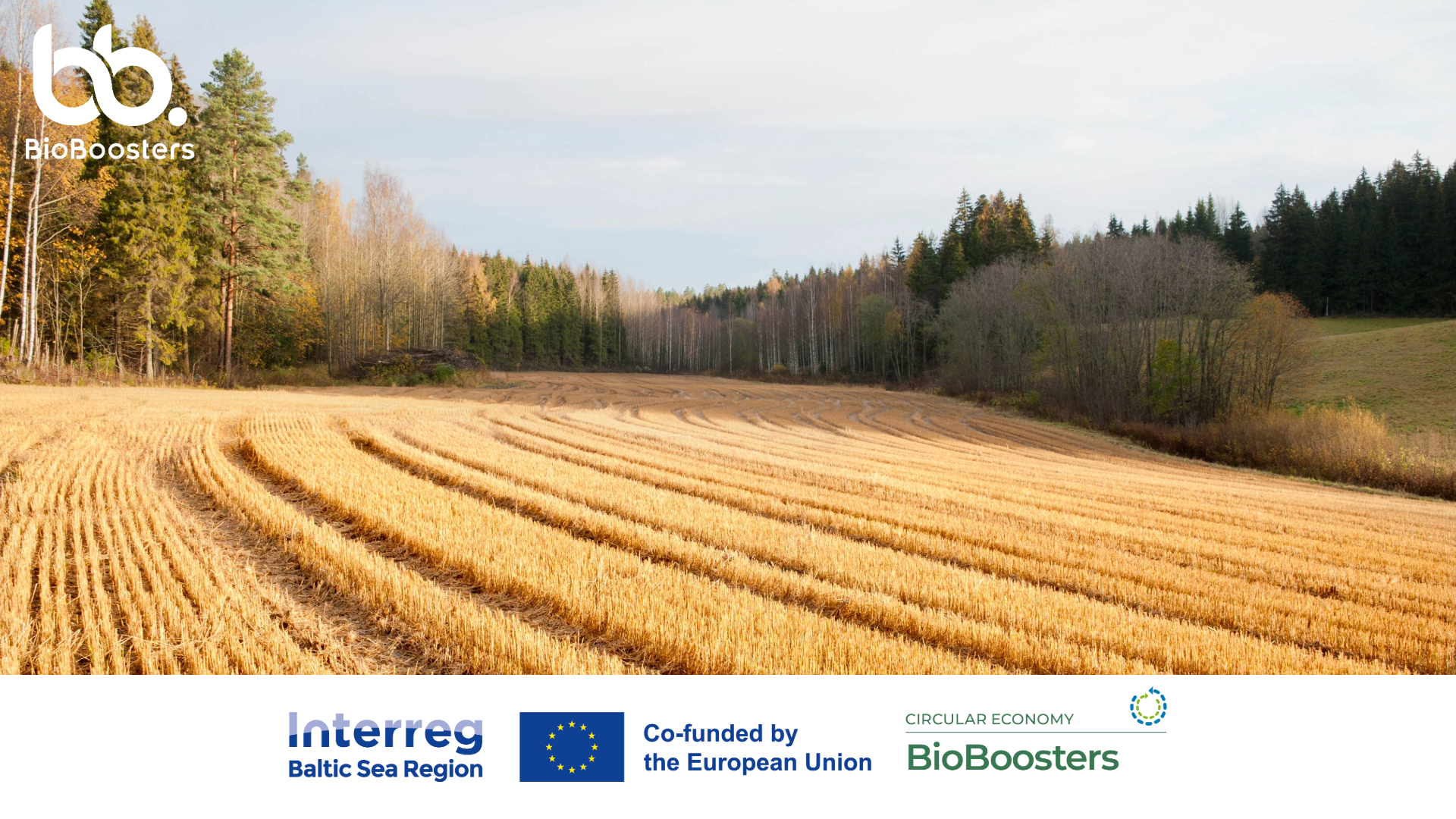 Sänkipelto ja puita