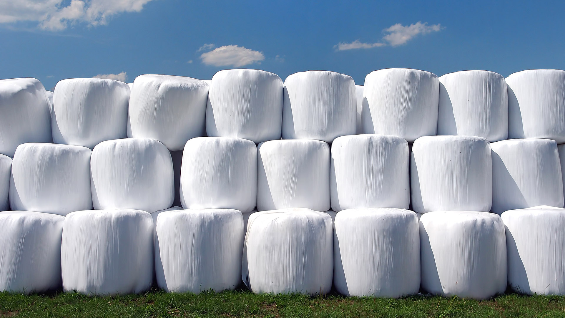 Muovipaaleja rivissä