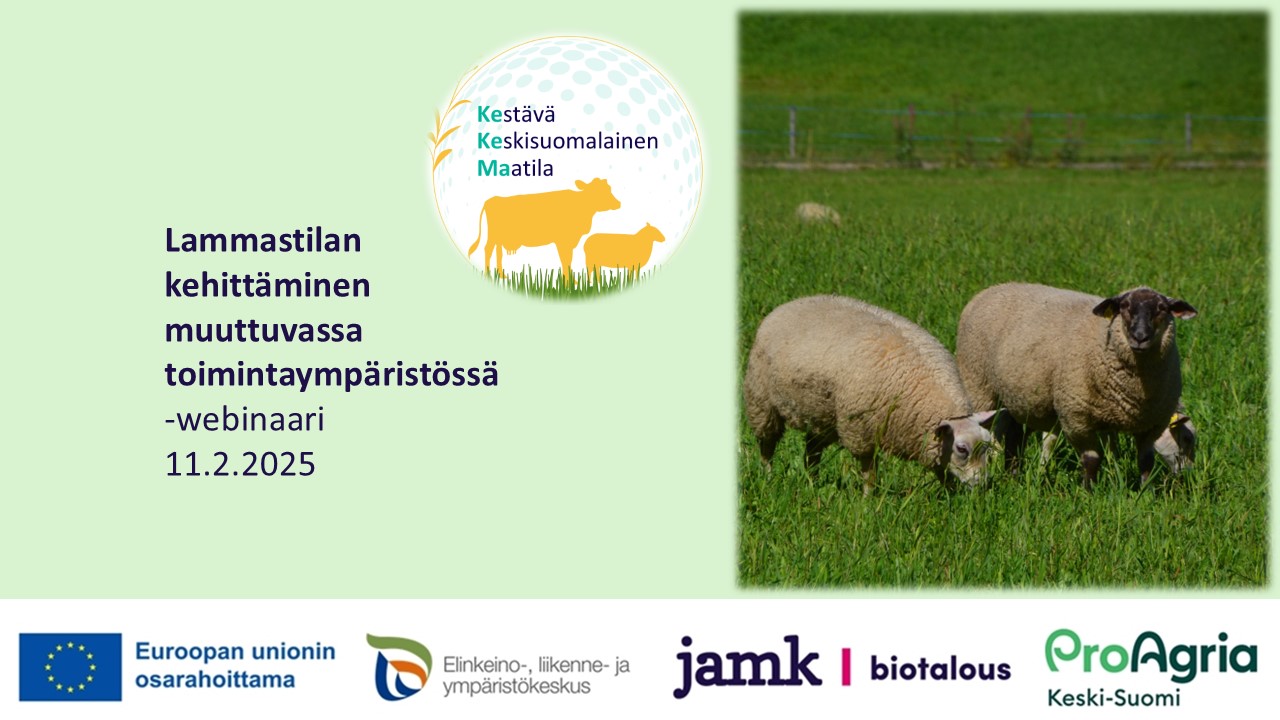Kestävä Keskisuomalainen Maatila lammaswebinaari