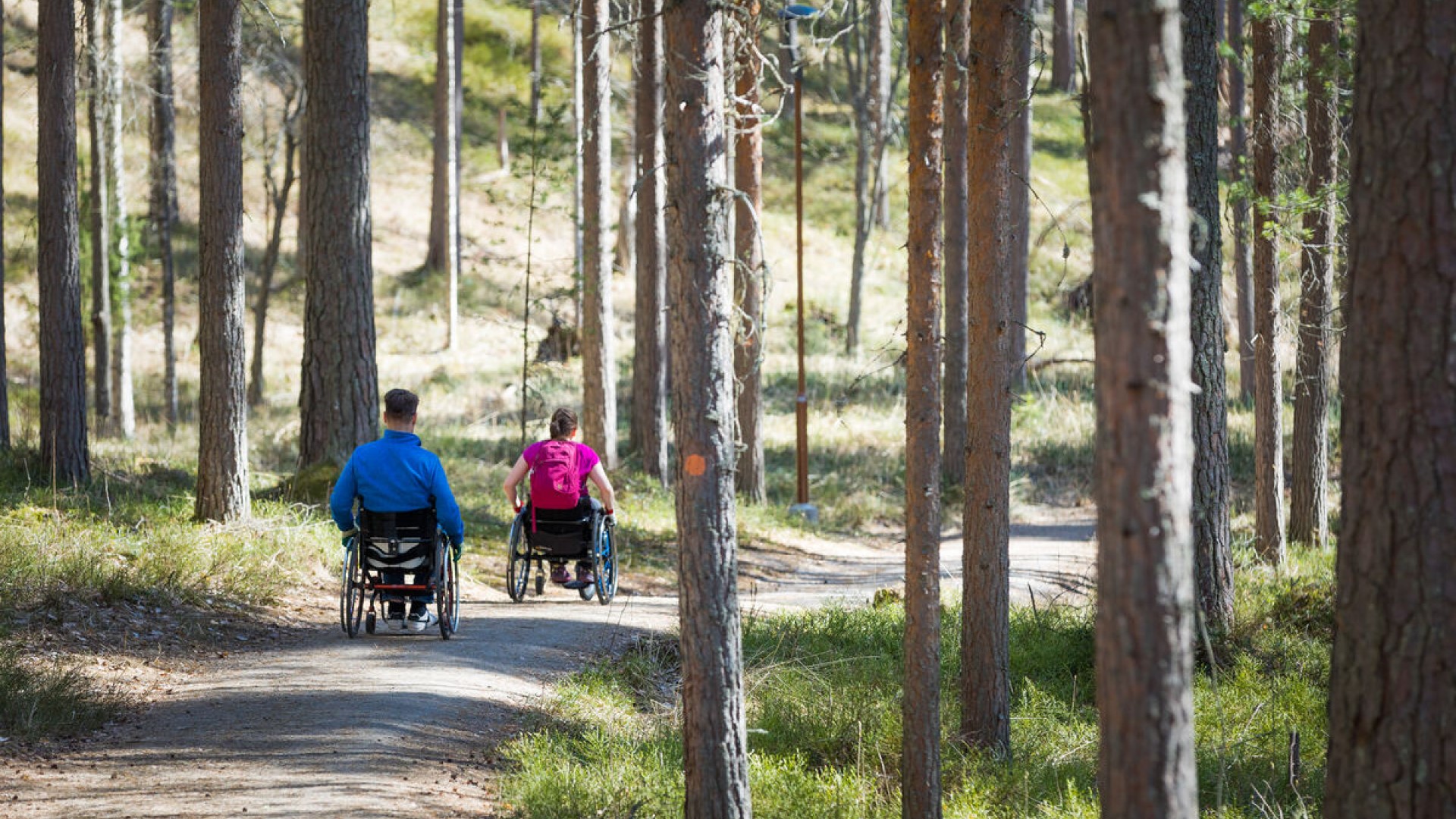 Kaksi pyörätuolia käyttävää ulkoilijaa nauttimassa ympäröivästä metsämaisemasta leveällä, esteettömällä luontopolulla.