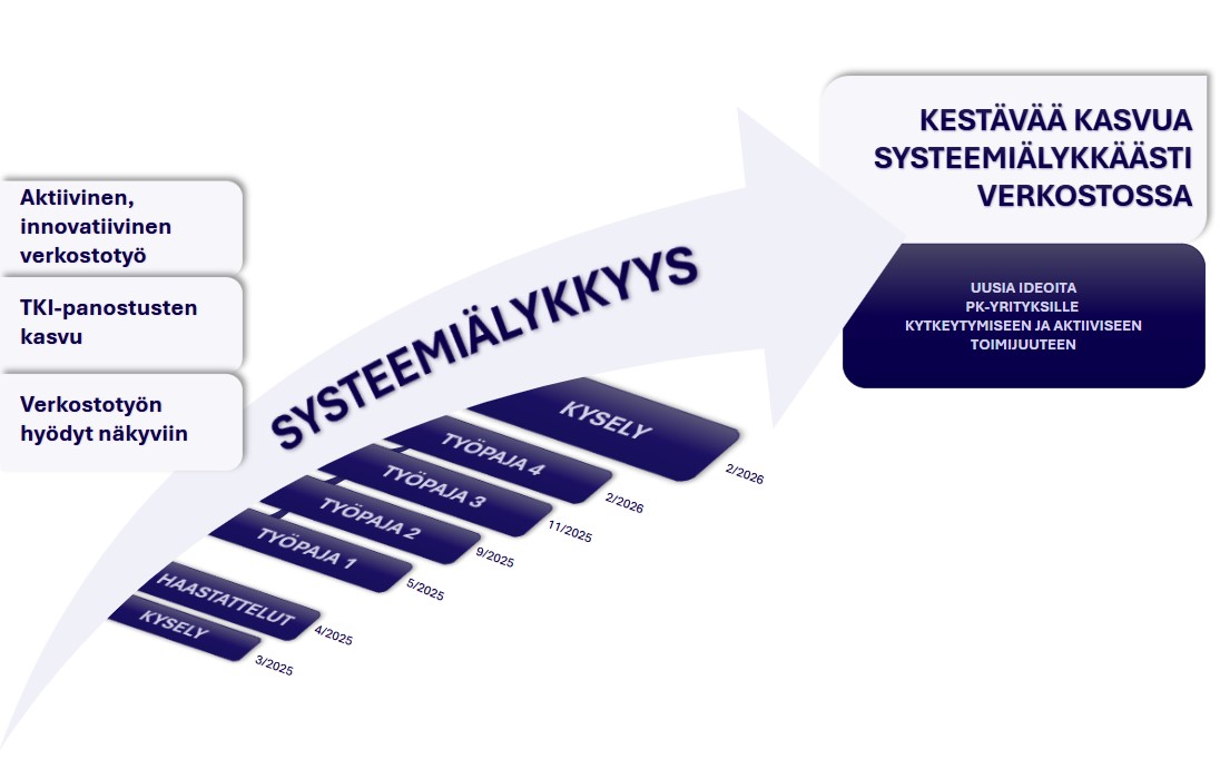 Systeemiälykkyys Aikataulu