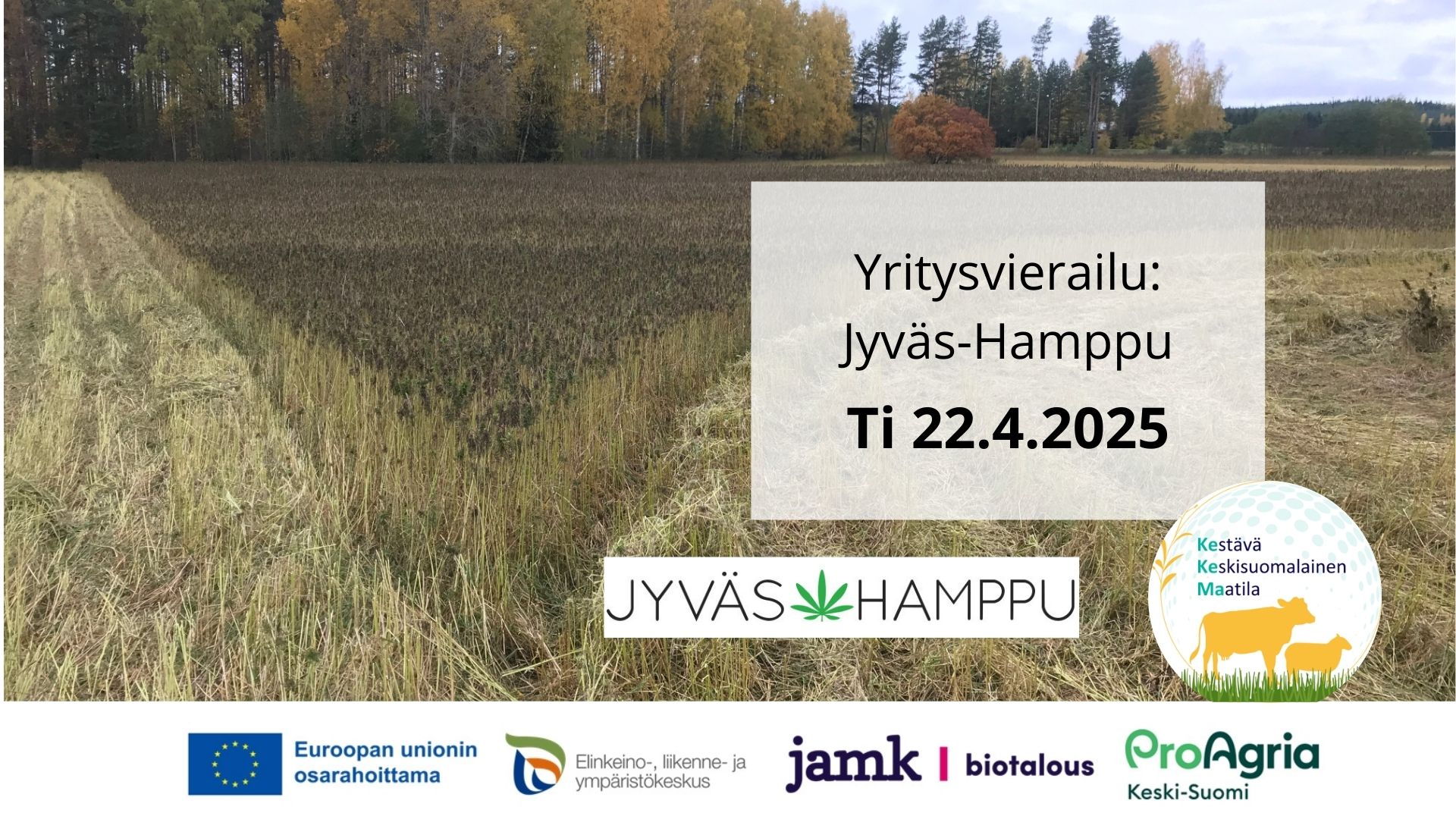 Tilavierailu Jyväs-Hamppu