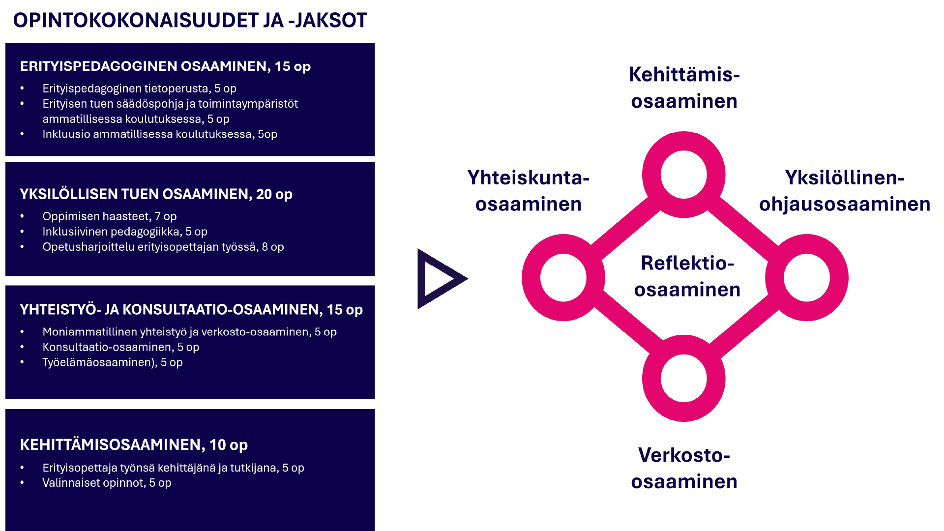 Ammatillisen erityisopettajan opinnot ja keskeiset osaamiset