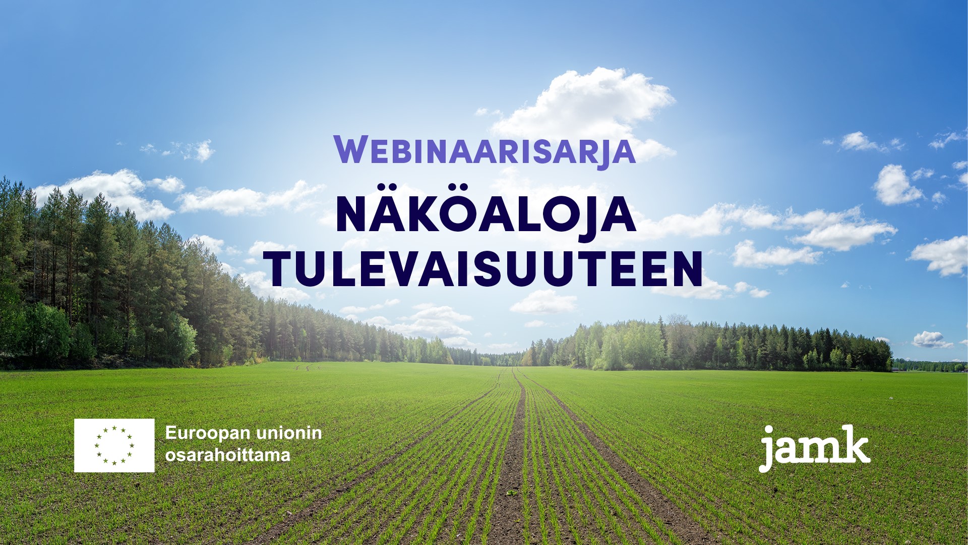Suomalainen kesäinen peltomaisema.