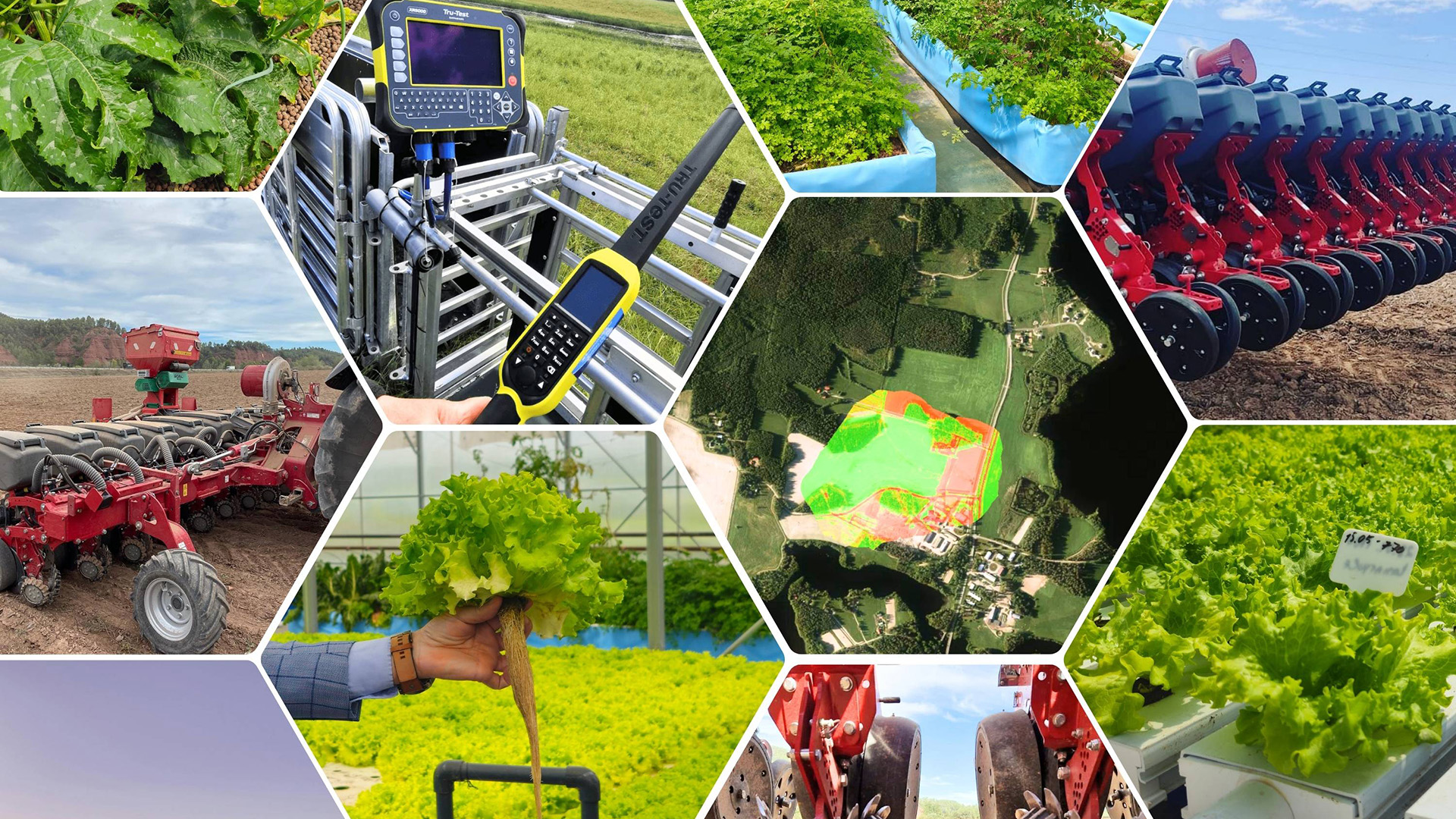 Maatalouskoneita, peltoa ja salaatti